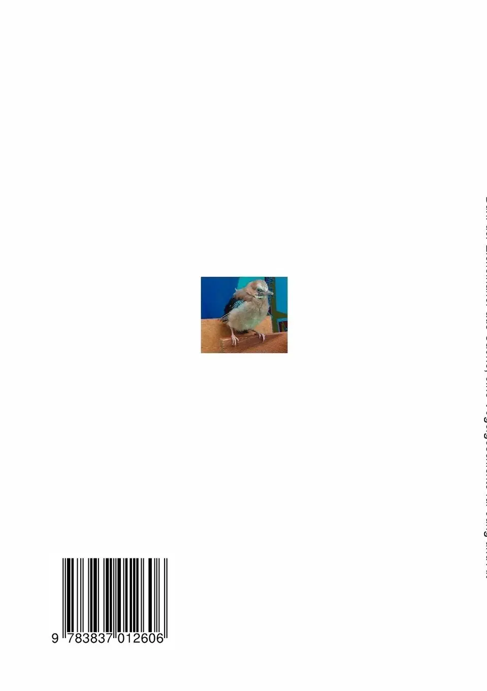 Rückseite: 9783837012606 | Burli der Eichelhäher aus Caorle | Karl Breitenegger | Taschenbuch