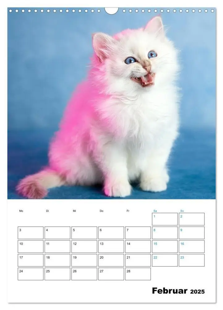 Bild: 9783435062706 | Heilige Birma Kitten - süße kleine Flauschbällchen (Wandkalender...