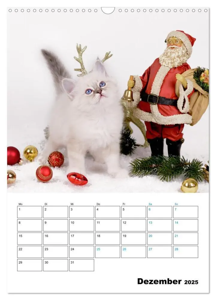 Bild: 9783435062706 | Heilige Birma Kitten - süße kleine Flauschbällchen (Wandkalender...
