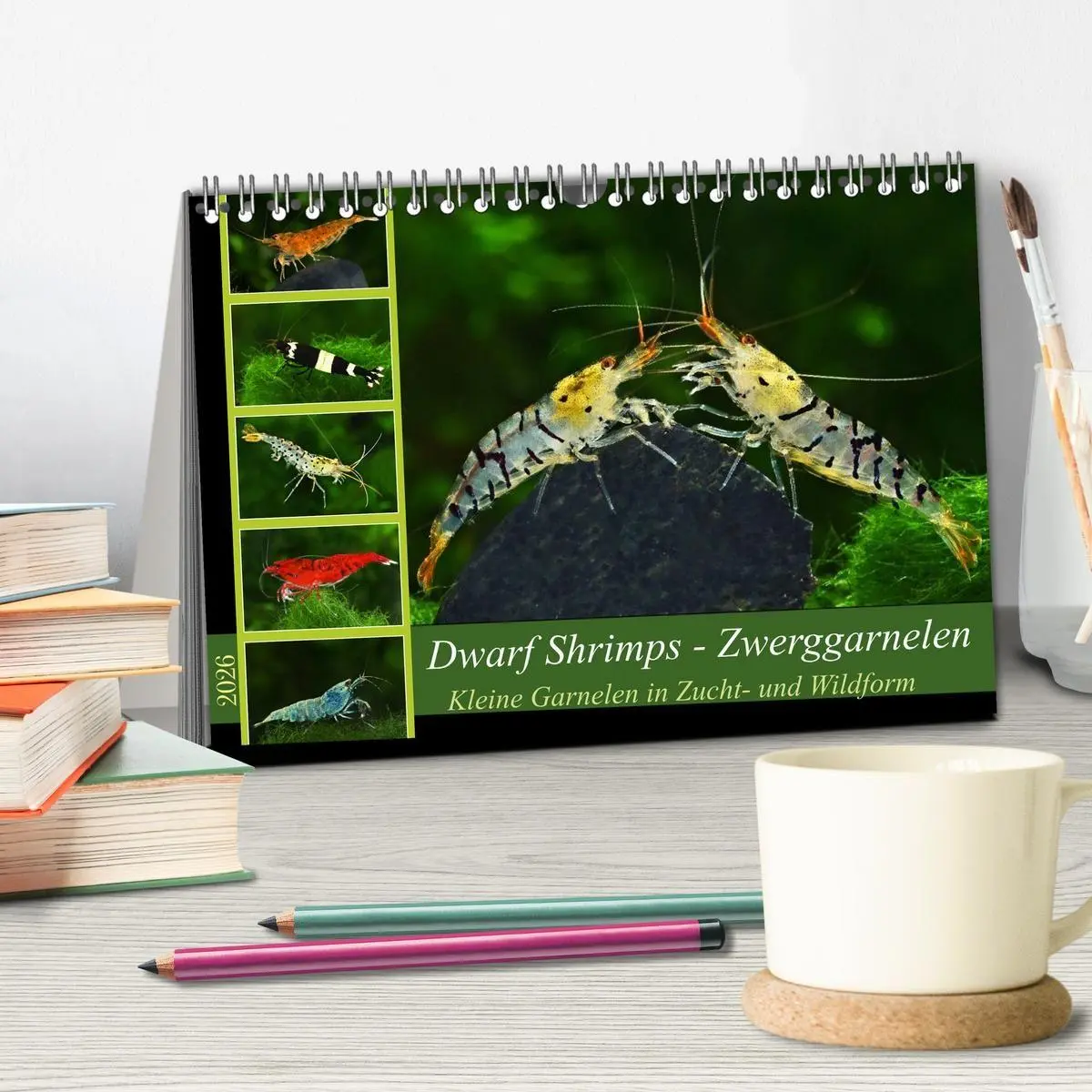 Bild: 9783457532706 | Dwarf Shrimps - Zwerggarnelen (Tischkalender 2026 DIN A5 quer),...