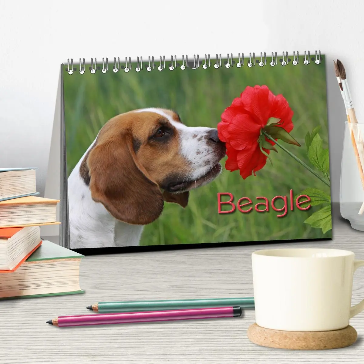 Bild: 9783516152906 | Beagle (Tischkalender 2026 DIN A5 quer), CALVENDO Monatskalender
