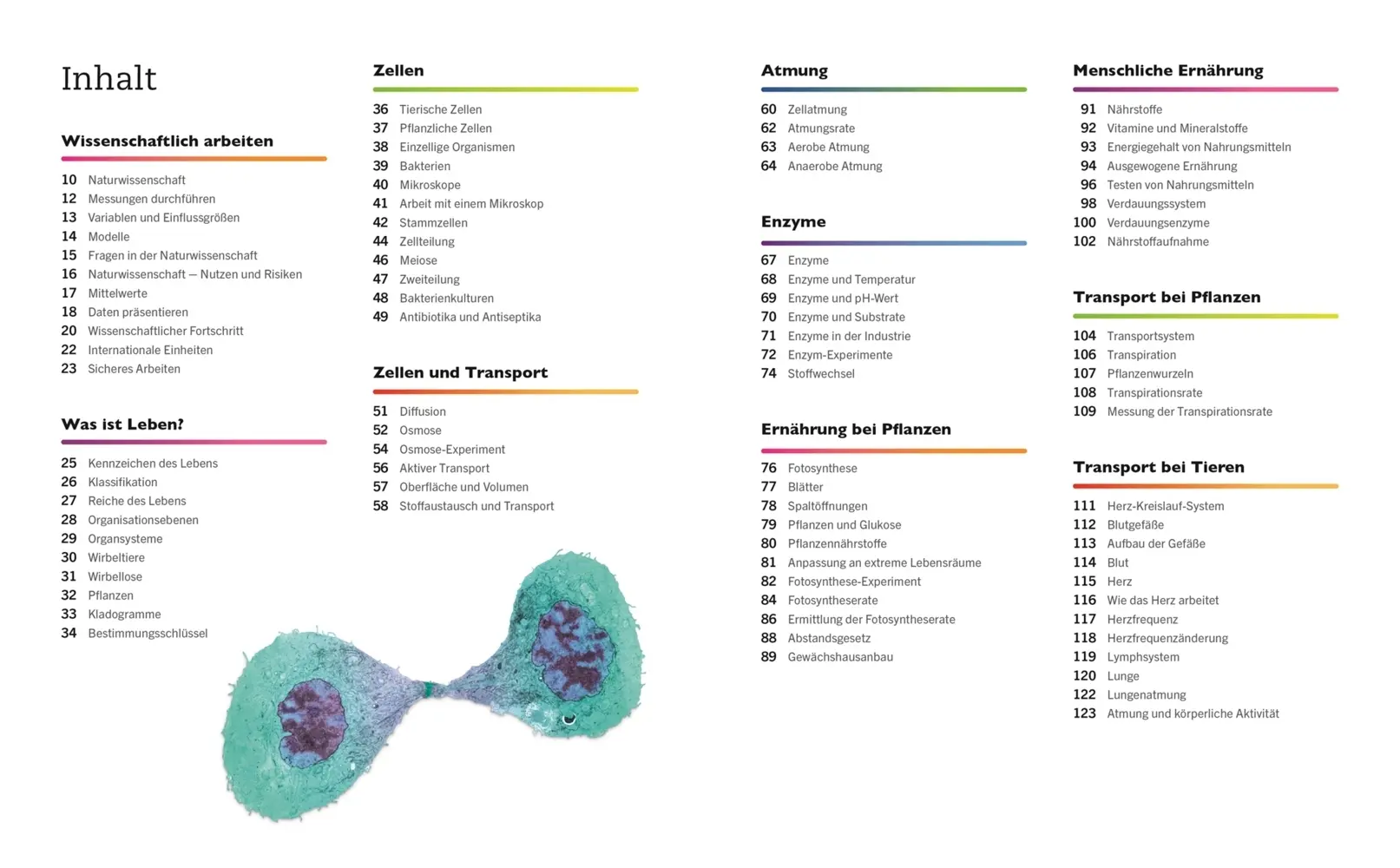 Rückseite: 9783831042906 | Visuelles Wissen. Biologie | DK Verlag | Taschenbuch | 288 S. | 2021