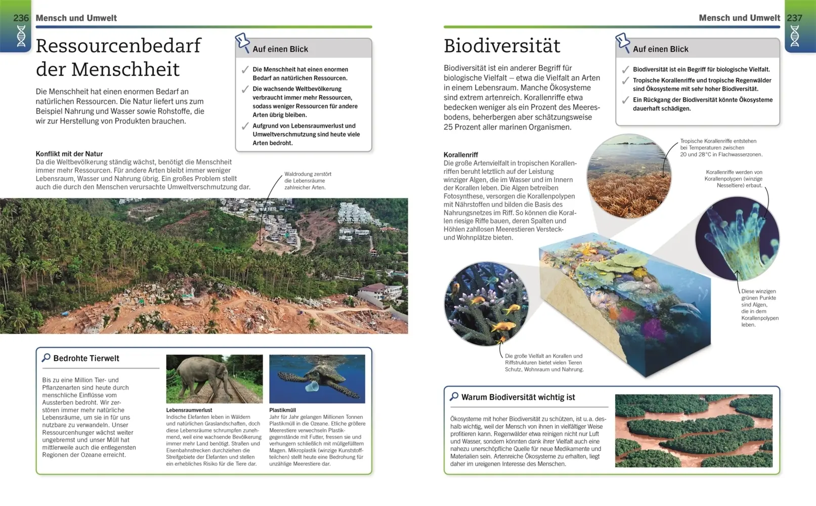 Bild: 9783831042906 | Visuelles Wissen. Biologie | DK Verlag | Taschenbuch | 288 S. | 2021