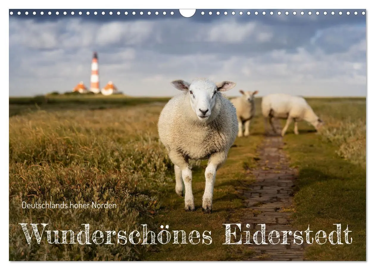 Cover: 9783457573006 | Wunderschönes Eiderstedt (Wandkalender 2026 DIN A3 quer), CALVENDO...