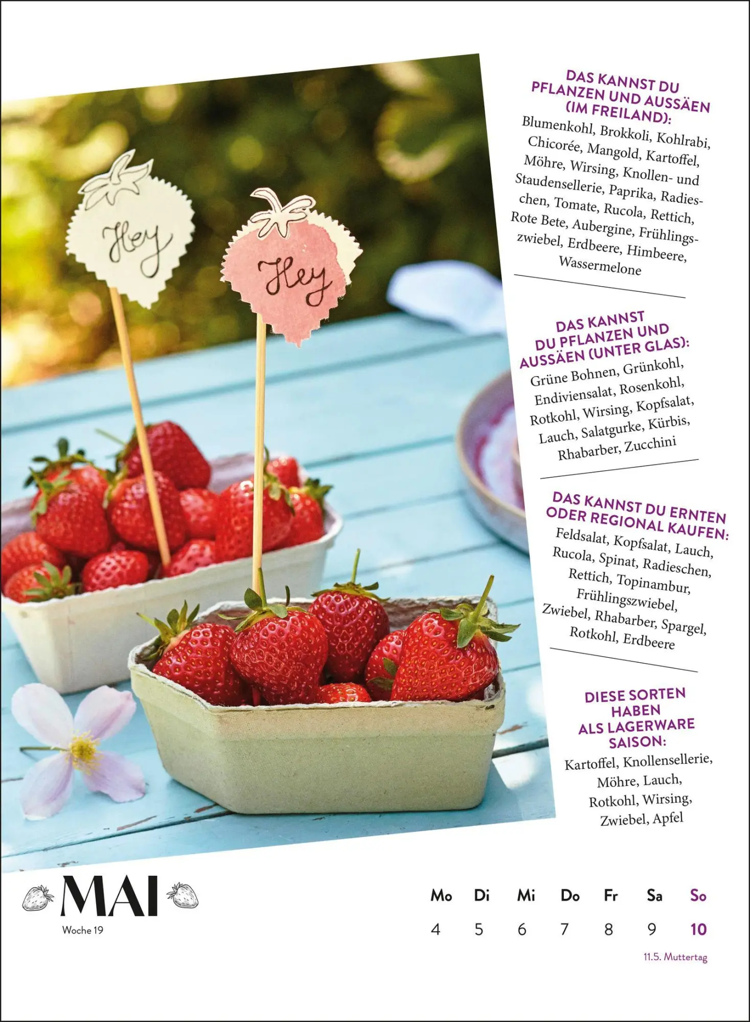Bild: 4036442013106 | Wochenkalender 2026: Obst und Gemüse haben immer Saison | Groh Verlag