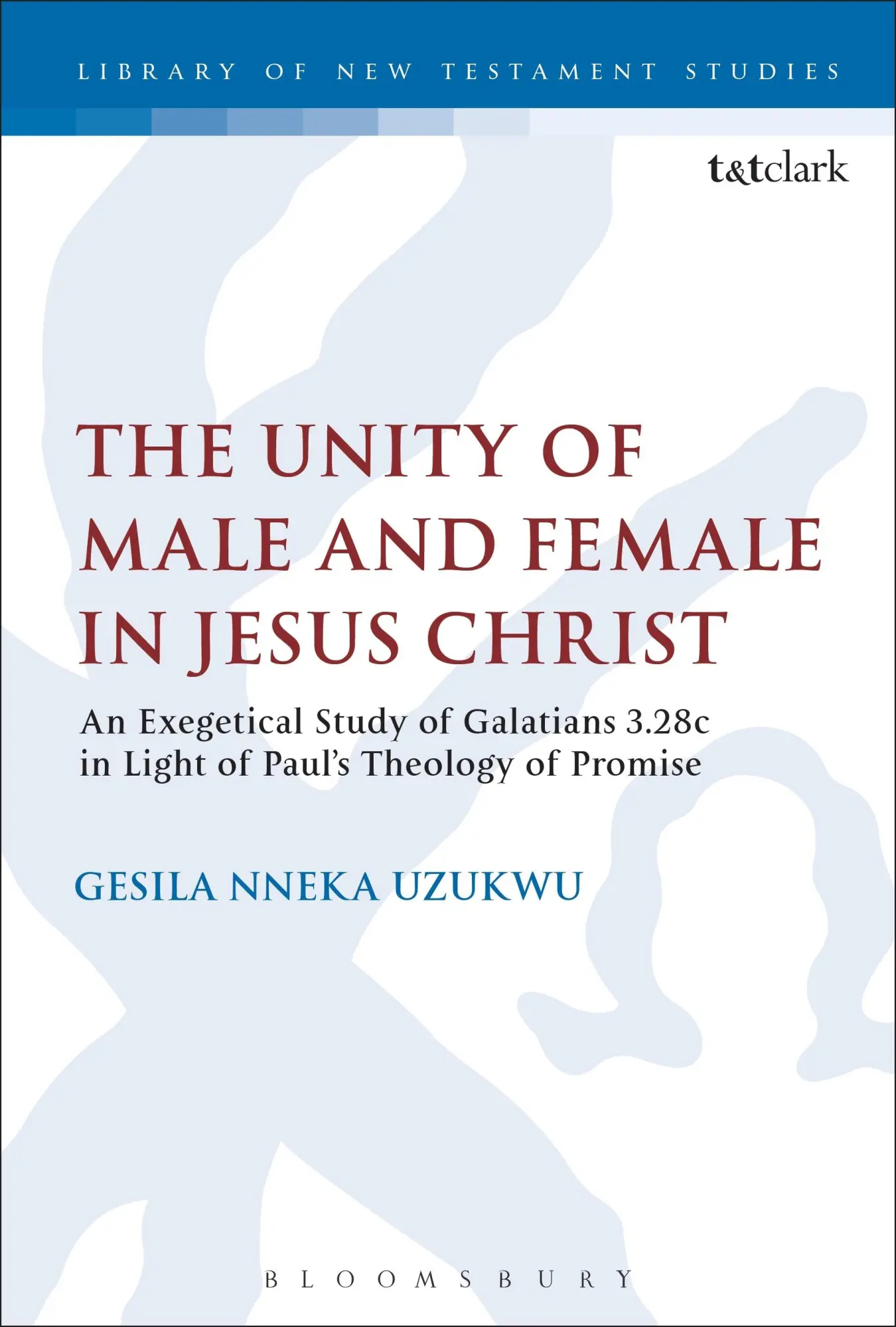 Cover: 9780567683106 | The Unity of Male and Female in Jesus Christ | Gesila Nneka Uzukwu