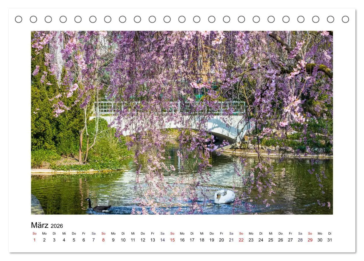 Bild: 9783457633106 | Frankfurt - Parks und Gärten (Tischkalender 2026 DIN A5 quer),...
