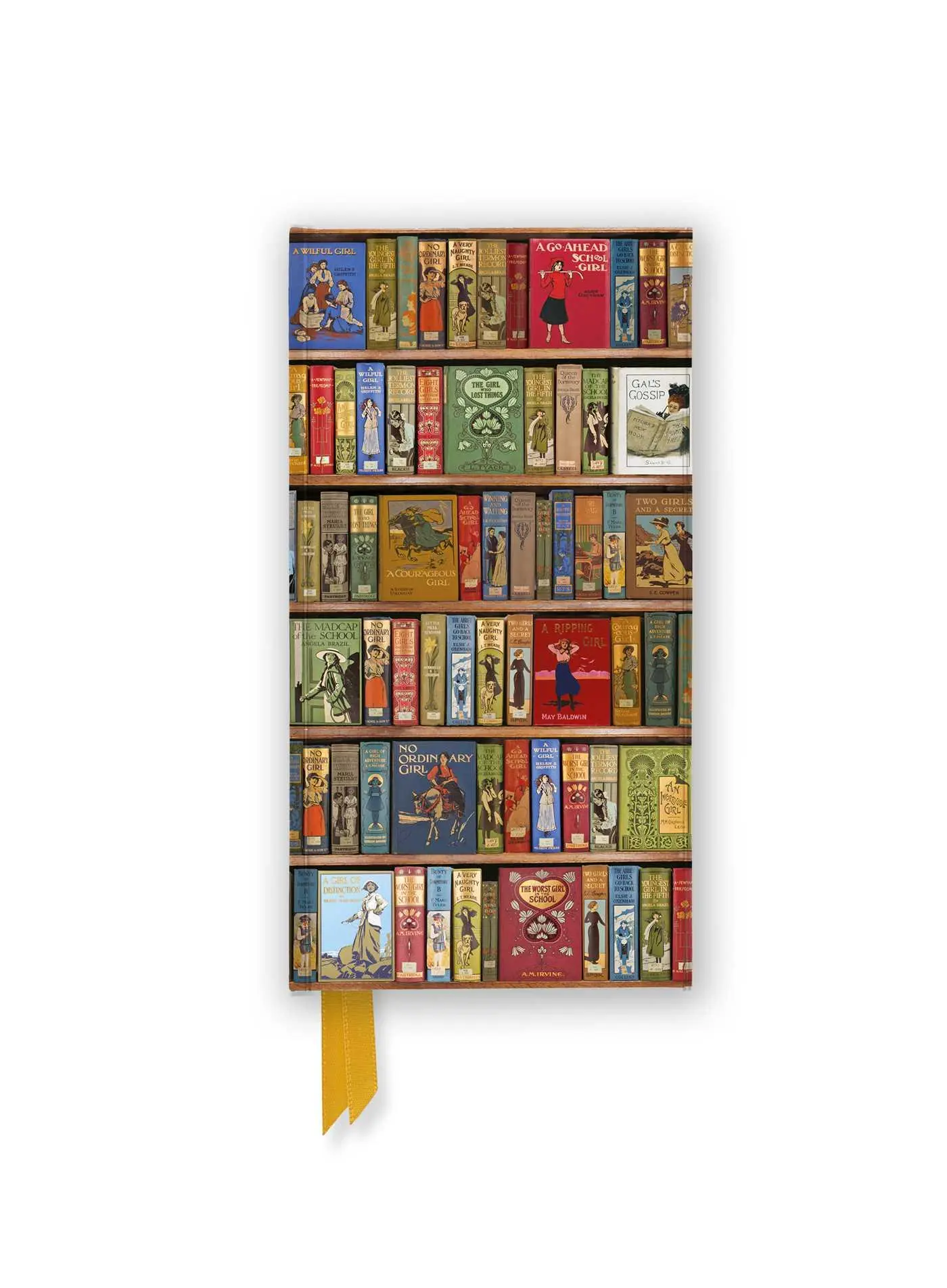 Bodleian Libraries: High Jinks Bookshelves (Foiled Slimline Journal)