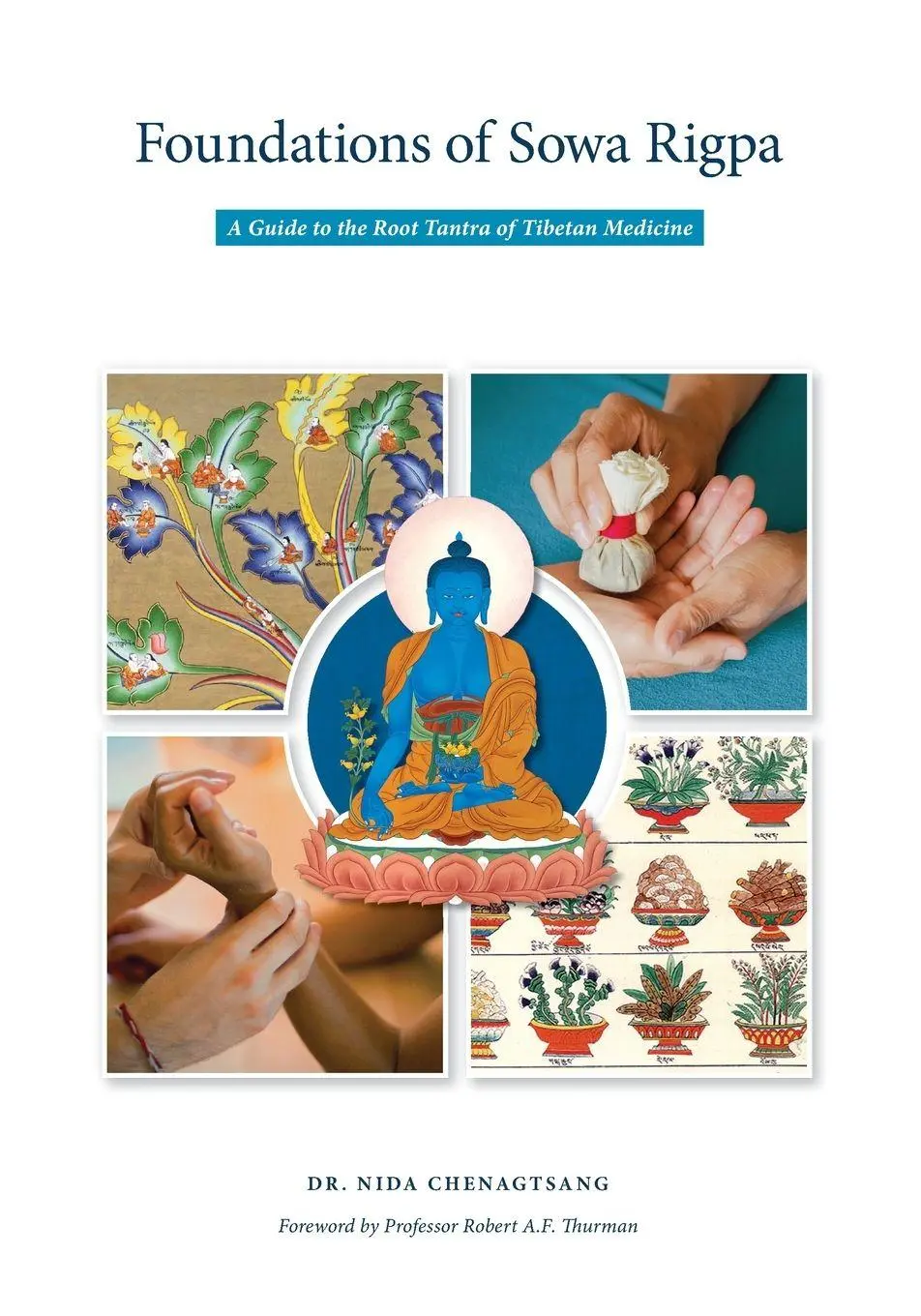 Cover: 9781950153206 | Foundations of Sowa Rigpa | Nida Chenagtsang | Taschenbuch | Englisch