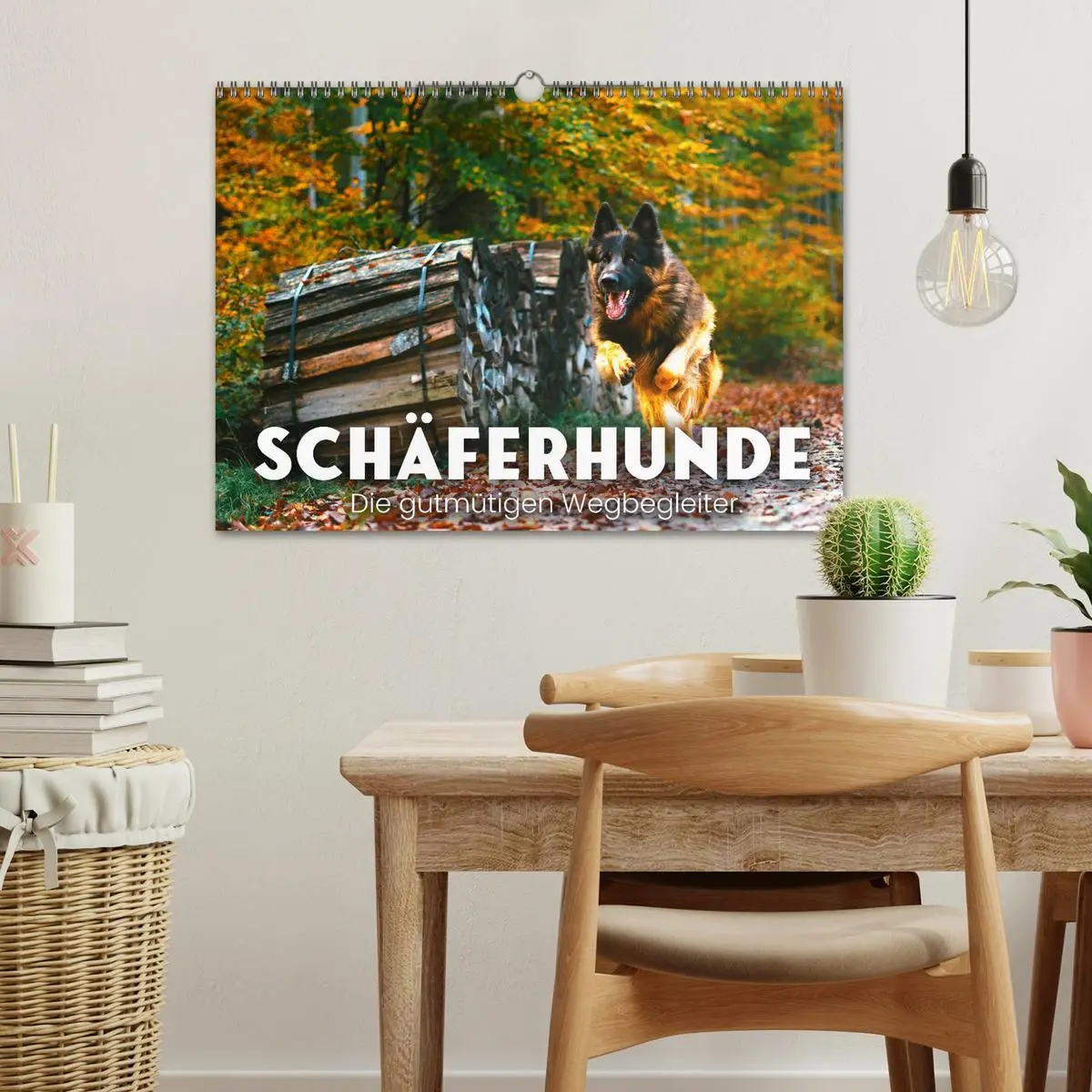 Bild: 9783457553206 | Schäferhunde - Die gutmütigen Wegbegleiter. (Wandkalender 2026 DIN...