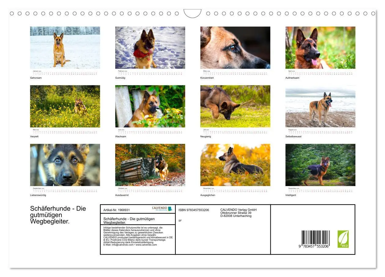Bild: 9783457553206 | Schäferhunde - Die gutmütigen Wegbegleiter. (Wandkalender 2026 DIN...