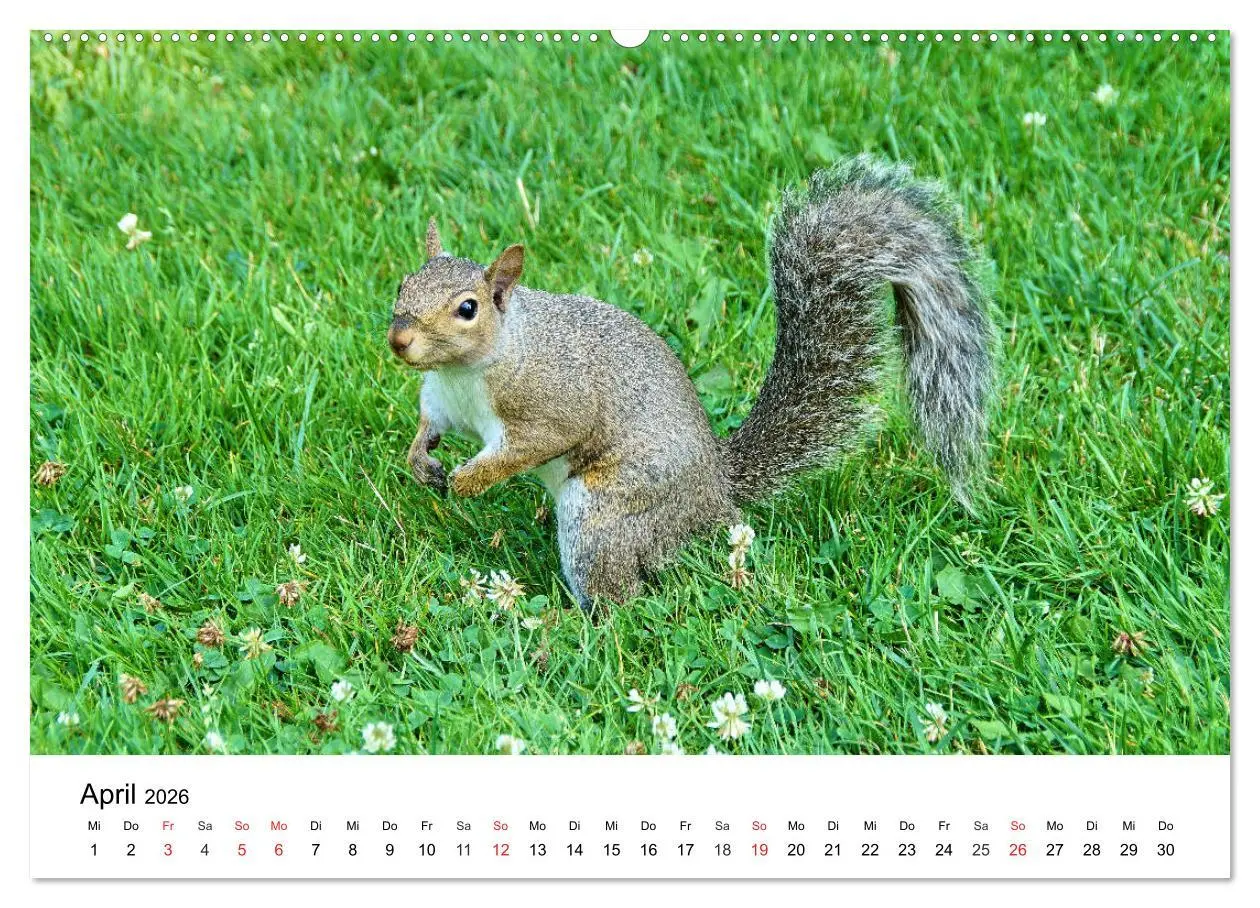 Bild: 9783457793206 | Ontario - Der Süden (Wandkalender 2026 DIN A2 quer), CALVENDO...