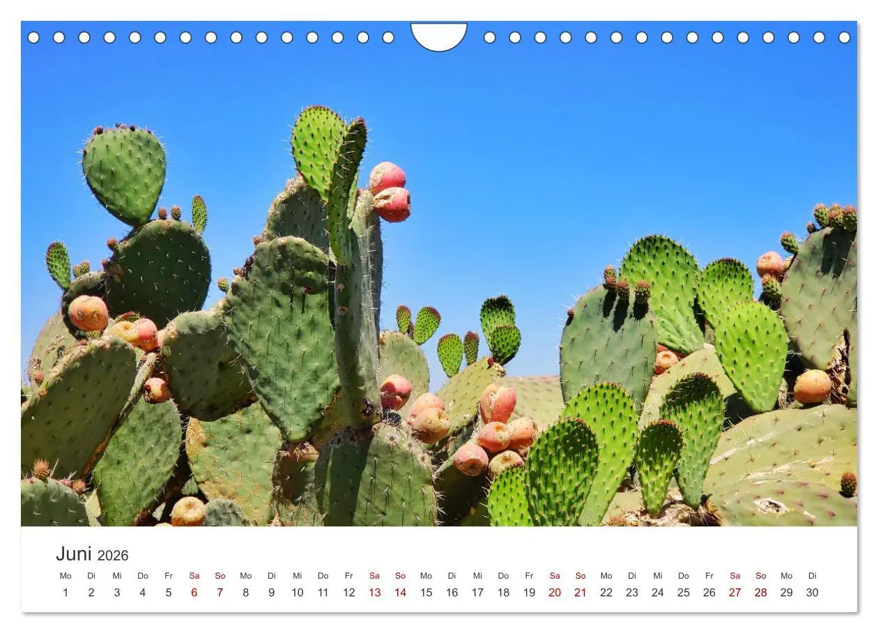 Bild: 9783457613306 | Mexiko - Eine Reise durch ein farbenfrohes Land. (Wandkalender 2026...