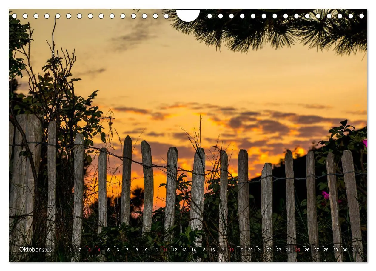 Bild: 9783457923306 | Amrum Insel am Wattenmeer (Wandkalender 2026 DIN A4 quer), CALVENDO...