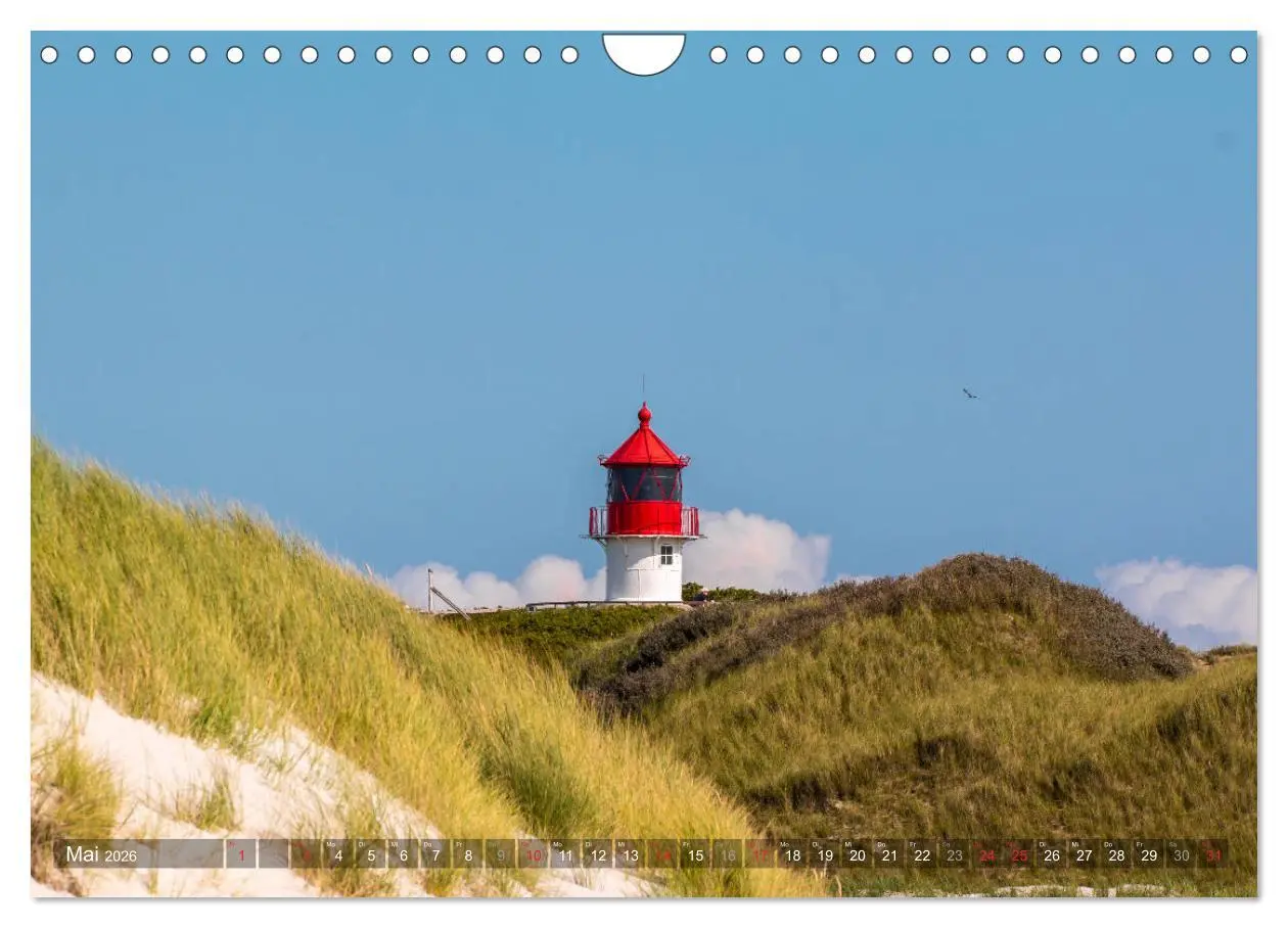Bild: 9783457923306 | Amrum Insel am Wattenmeer (Wandkalender 2026 DIN A4 quer), CALVENDO...