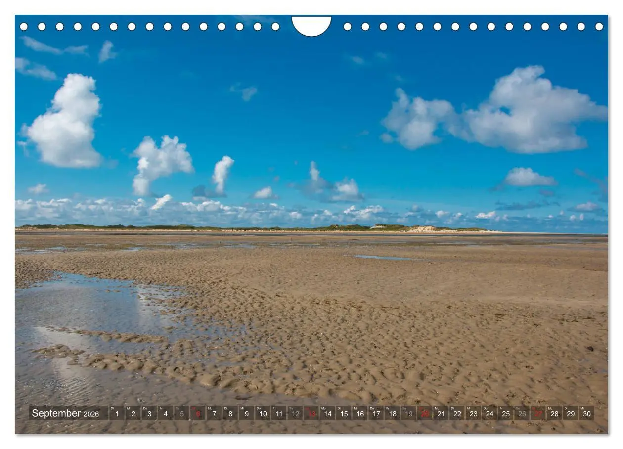 Bild: 9783457923306 | Amrum Insel am Wattenmeer (Wandkalender 2026 DIN A4 quer), CALVENDO...