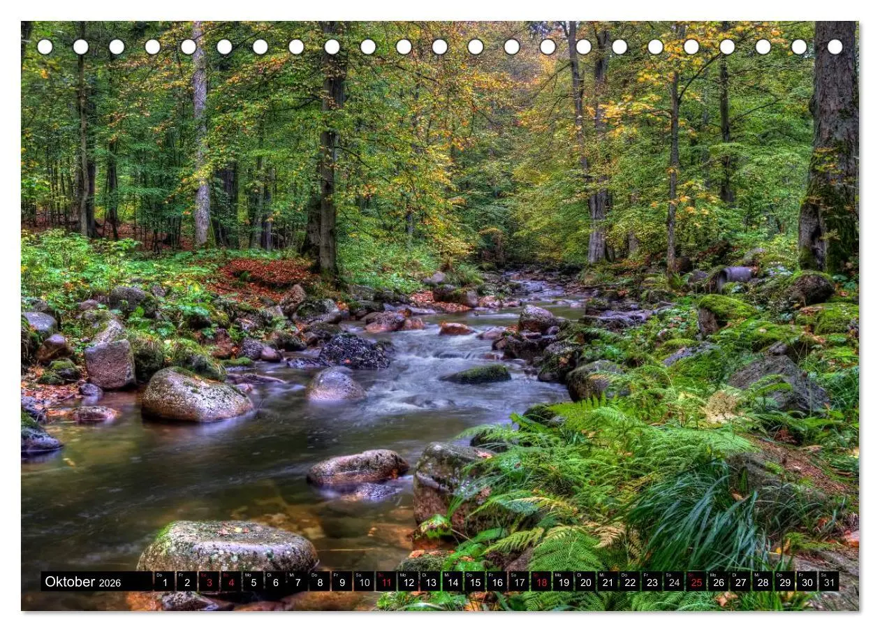 Bild: 9783516183306 | Harz Landschaften (Tischkalender 2026 DIN A5 quer), CALVENDO...