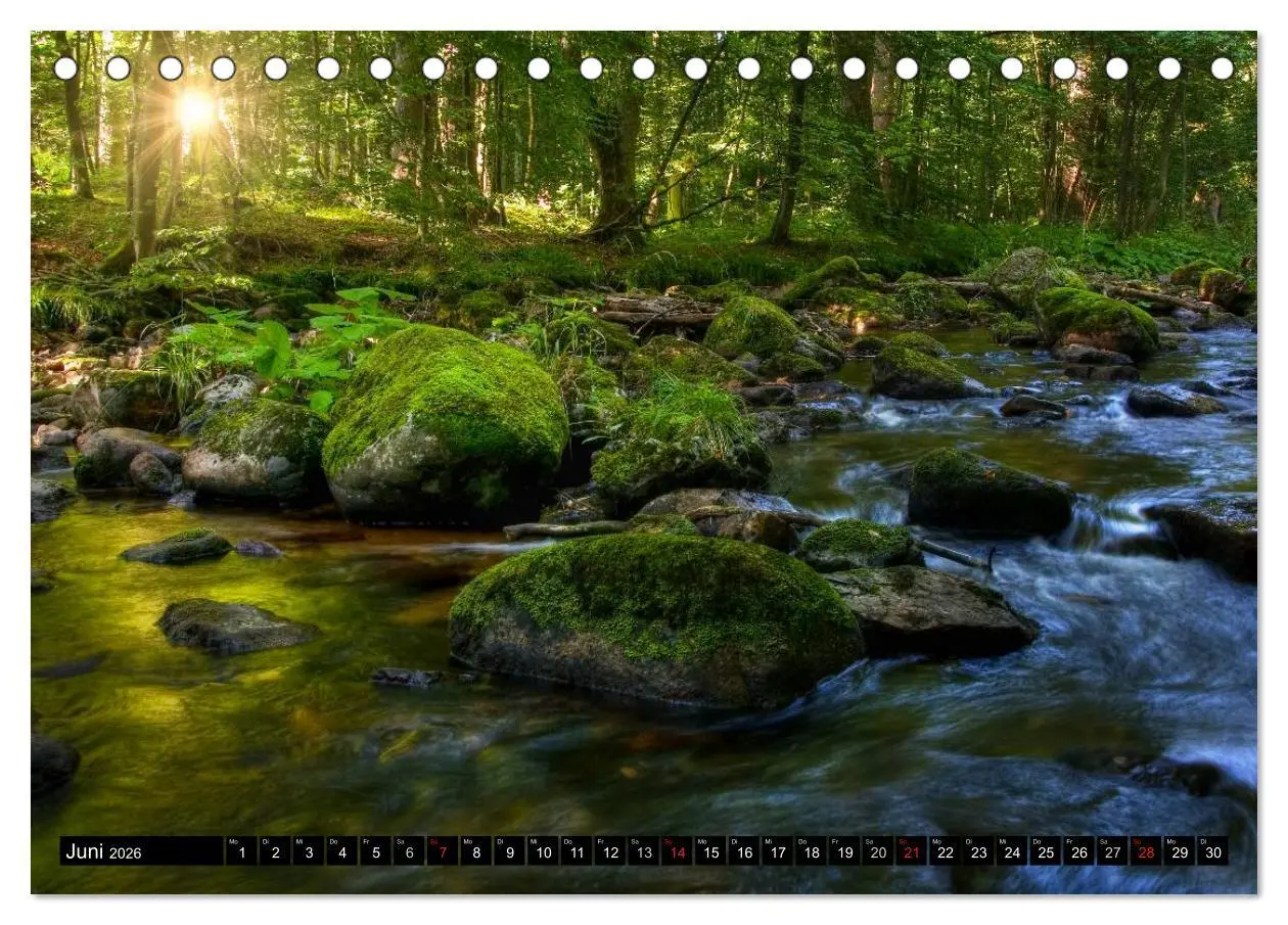 Bild: 9783516183306 | Harz Landschaften (Tischkalender 2026 DIN A5 quer), CALVENDO...