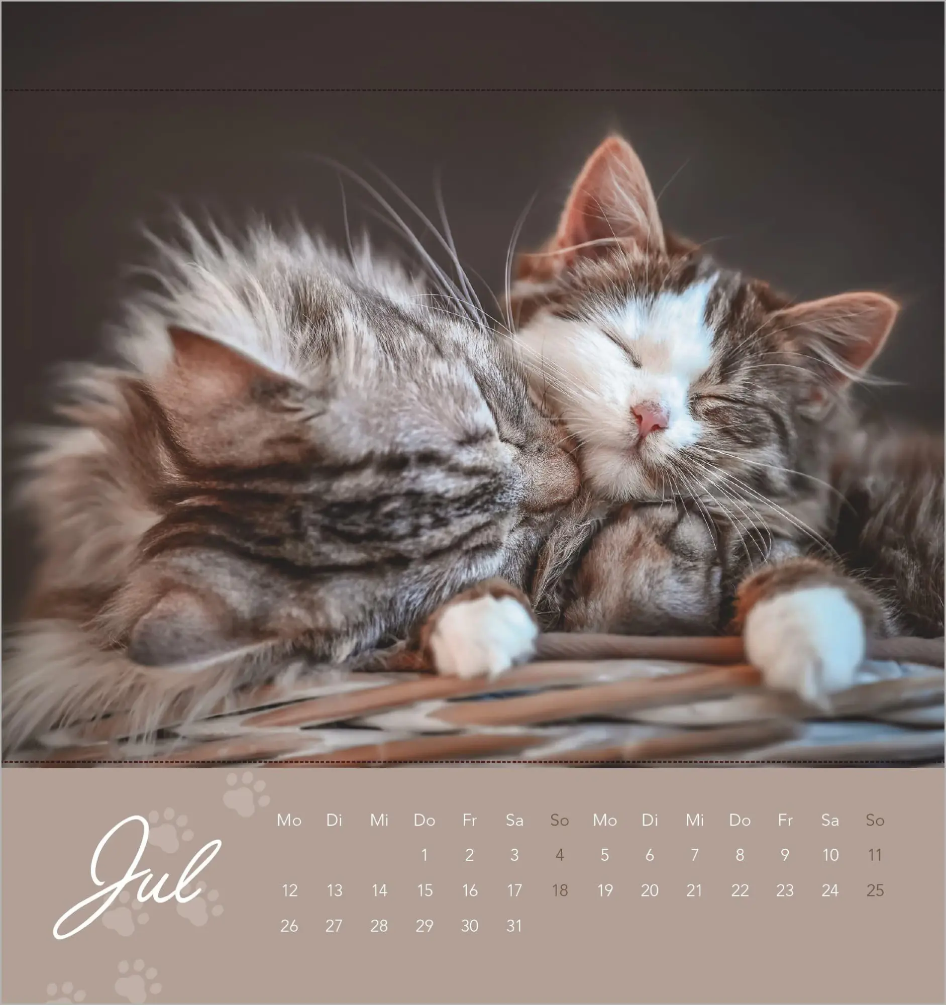 Bild: 4069095013506 | Kleine Samtpfötchen 2027 | Neumann Verlage GmbH &amp; Co KG | Kalender