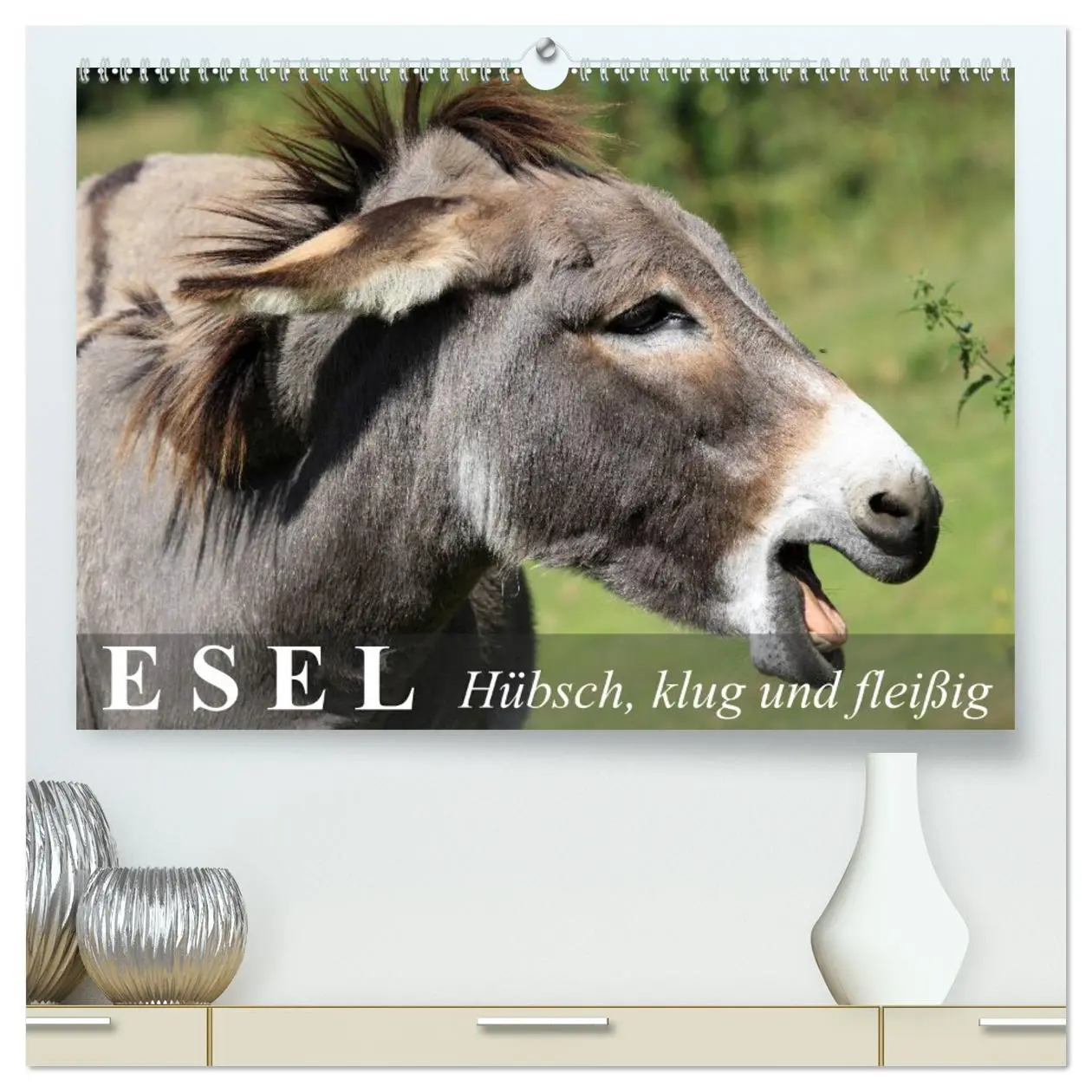 Cover: 9783516093506 | Esel - hübsch, klug und fleißig (hochwertiger Premium Wandkalender...