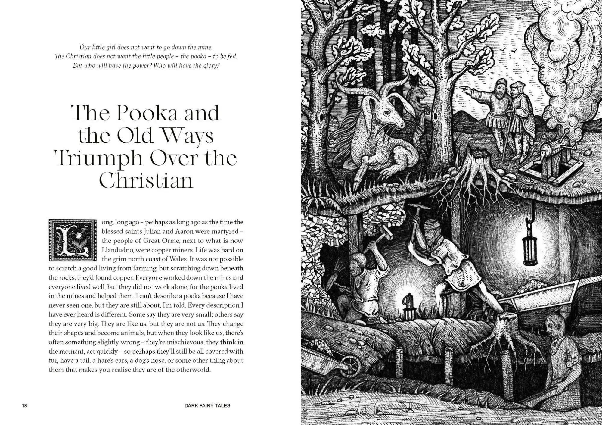 Bild: 9783791393506 | Dark Fairy Tales | Weird, Wicked Stories from Around the World | Wynd