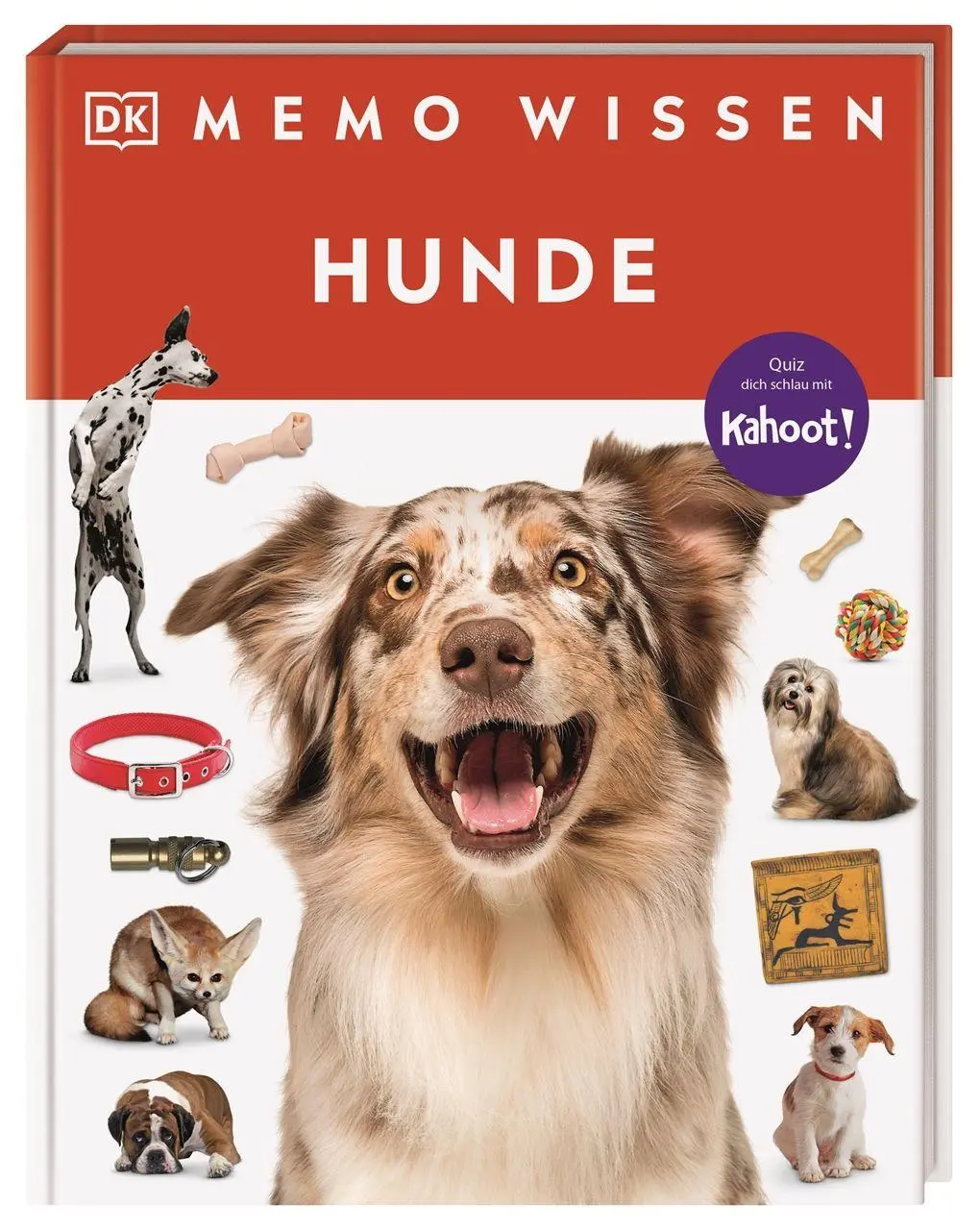 Cover: 9783831053506 | memo Wissen. Hunde | Juliet Clutton-Brock | Buch | memo Wissen | 72 S.