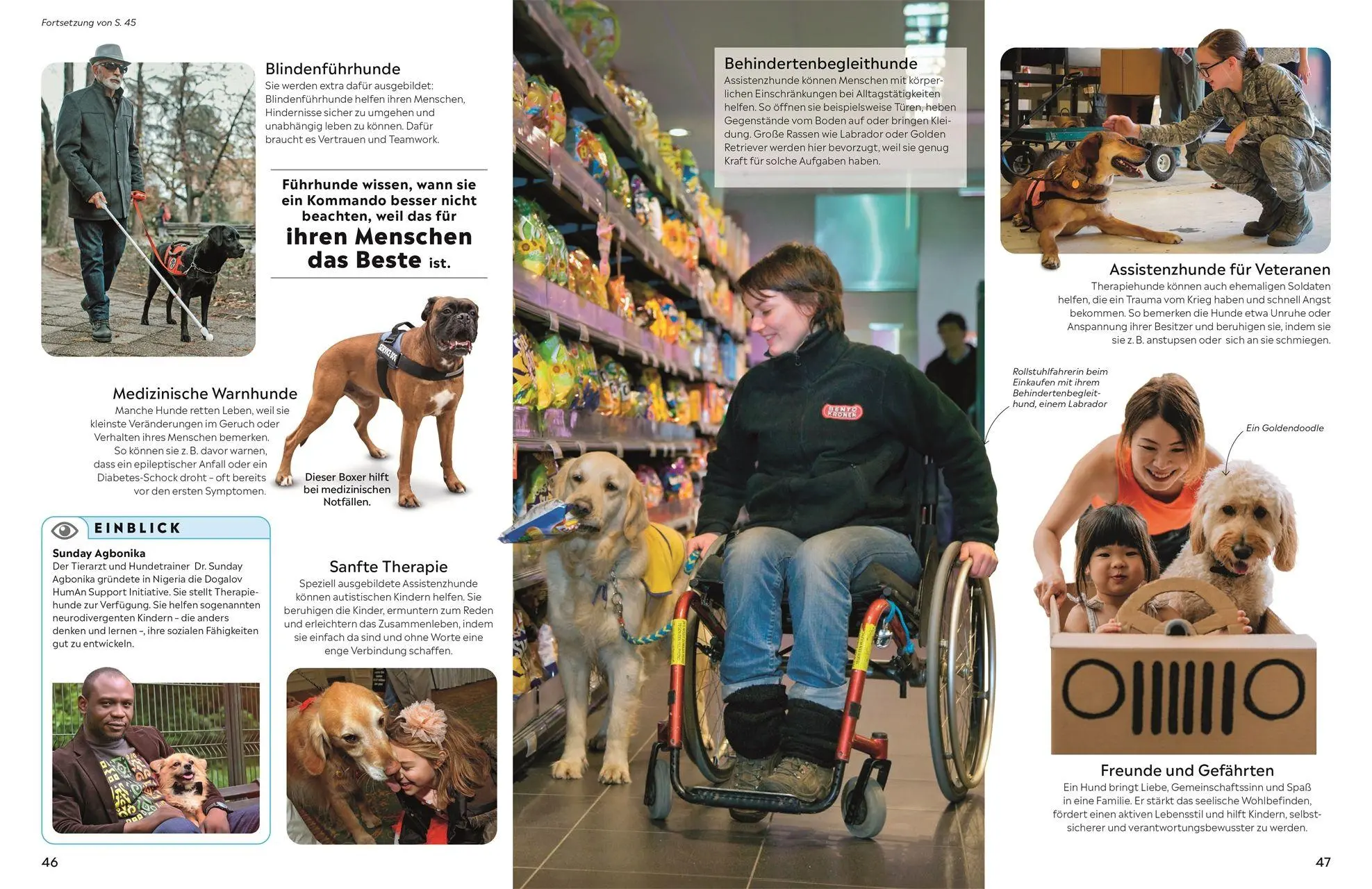 Bild: 9783831053506 | memo Wissen. Hunde | Juliet Clutton-Brock | Buch | memo Wissen | 72 S.