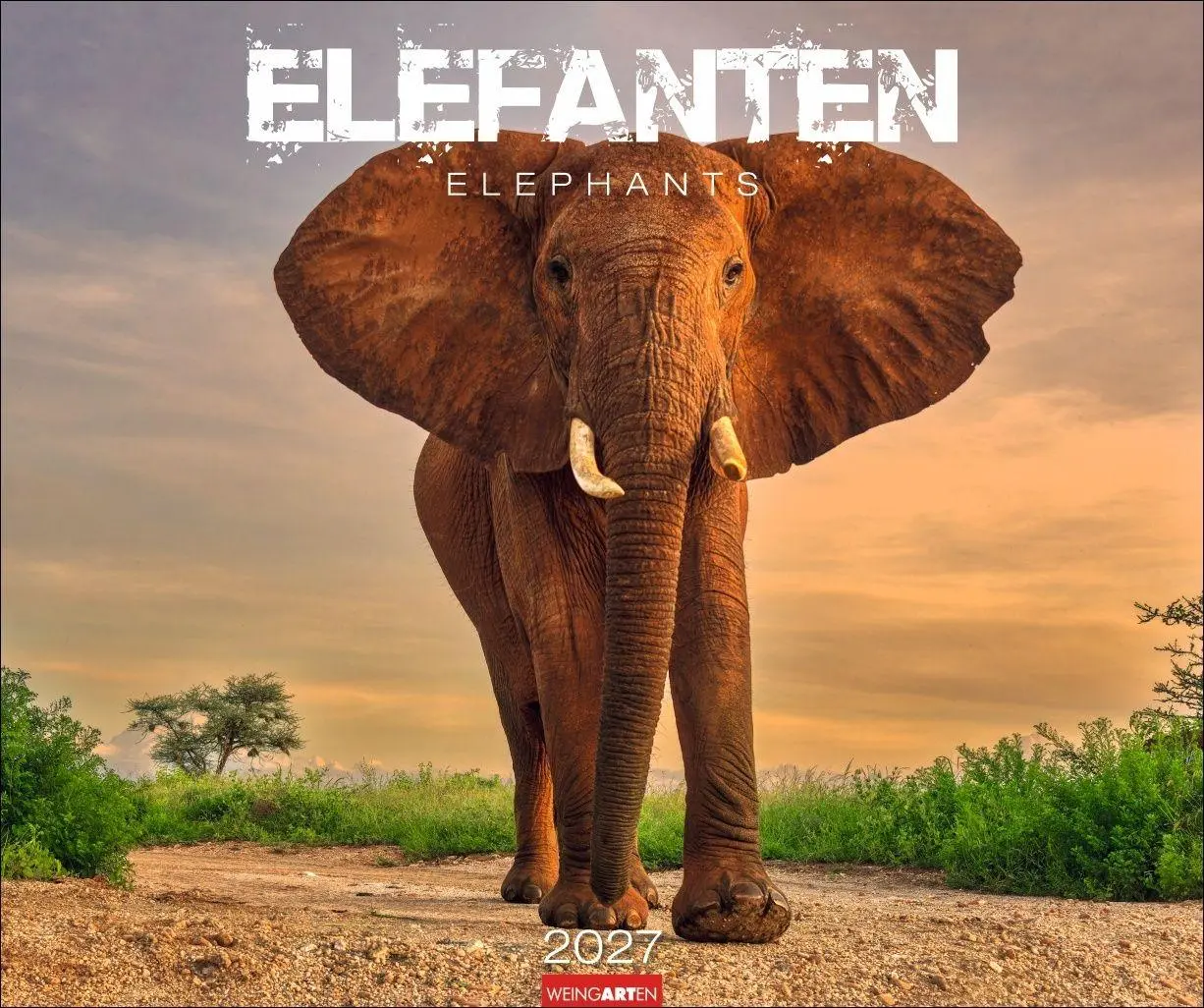 Cover: 9783839903506 | Elefanten Kalender 2027 | Kalender | Tierkalender Weingarten | 14 S.