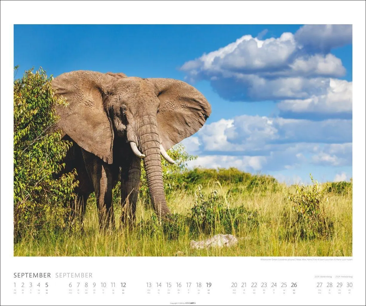 Bild: 9783839903506 | Elefanten Kalender 2027 | Kalender | Tierkalender Weingarten | 14 S.