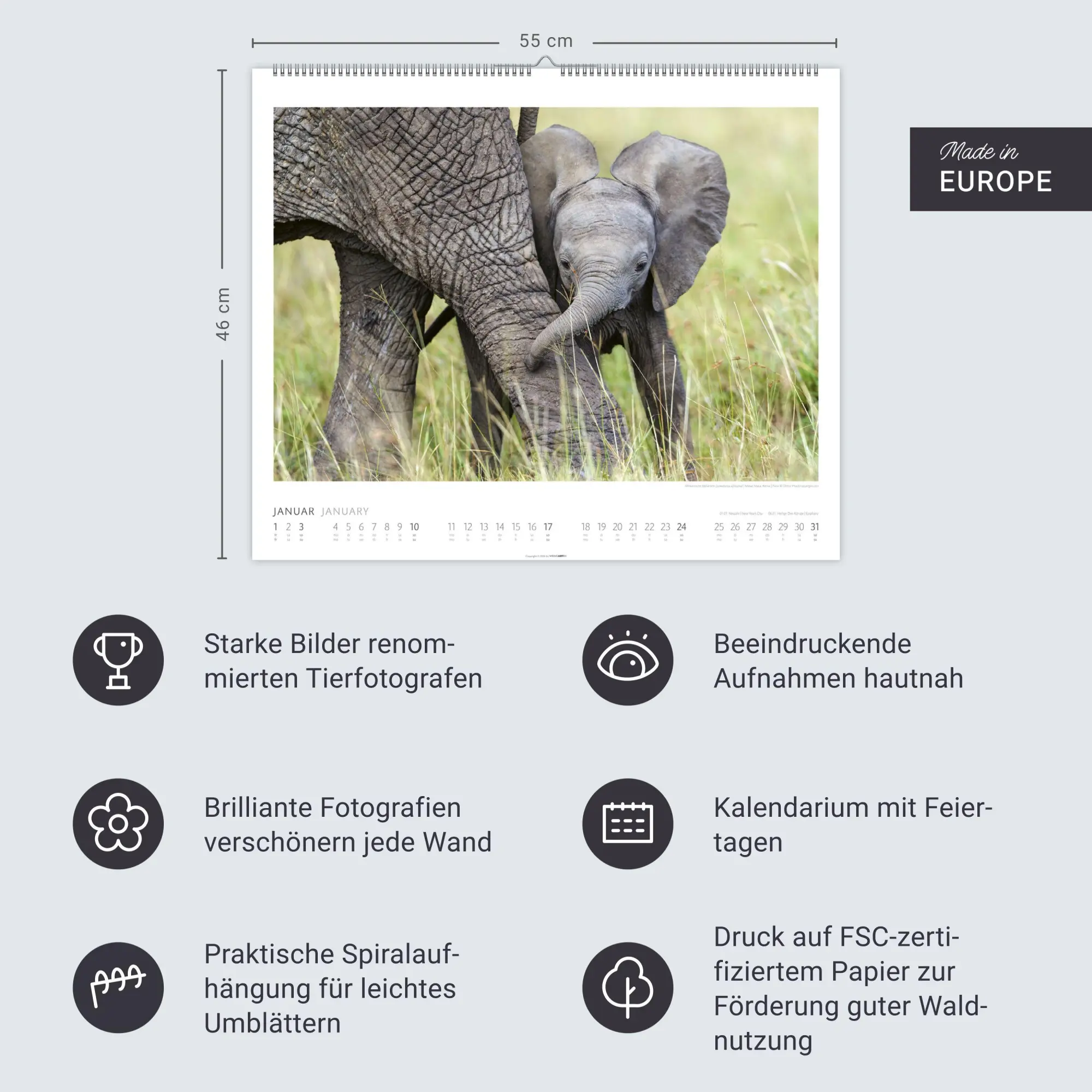 Bild: 9783839903506 | Elefanten Kalender 2027 | Kalender | Tierkalender Weingarten | 14 S.