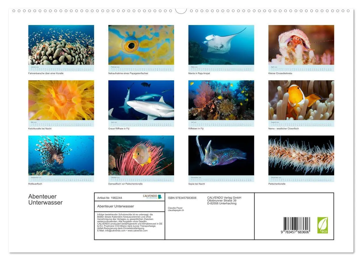 Bild: 9783457683606 | Abenteuer Unterwasser (hochwertiger Premium Wandkalender 2026 DIN...