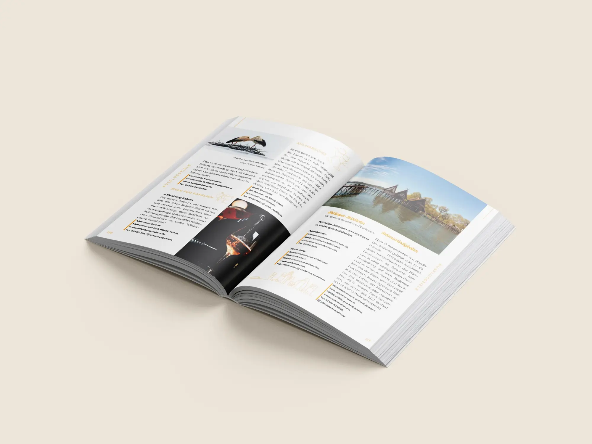 Bild: 9783861123606 | Unterwegs Verlag Reiseführer Untersee | Ariane Martin | Taschenbuch