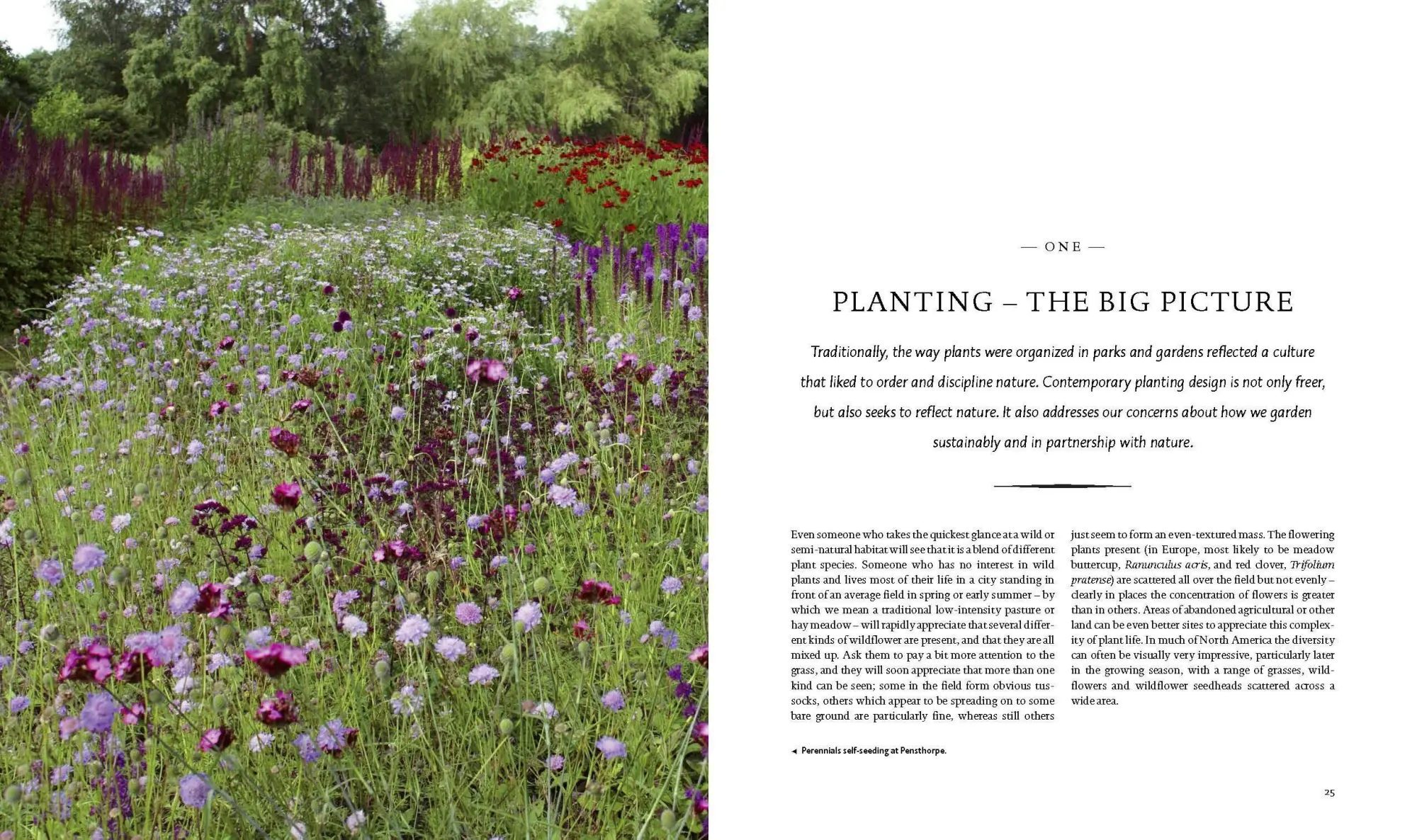 Bild: 9781604693706 | Planting | A New Perspective | Piet Oudolf (u. a.) | Buch | Gebunden