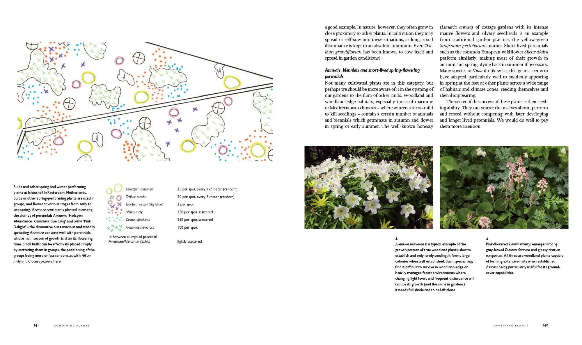 Bild: 9781604693706 | Planting | A New Perspective | Piet Oudolf (u. a.) | Buch | Gebunden