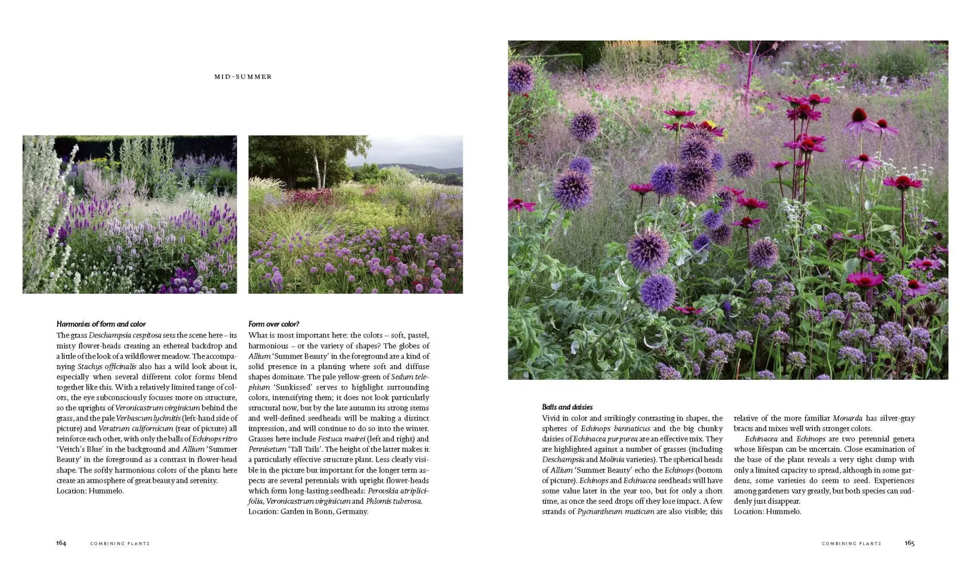 Bild: 9781604693706 | Planting | A New Perspective | Piet Oudolf (u. a.) | Buch | Gebunden