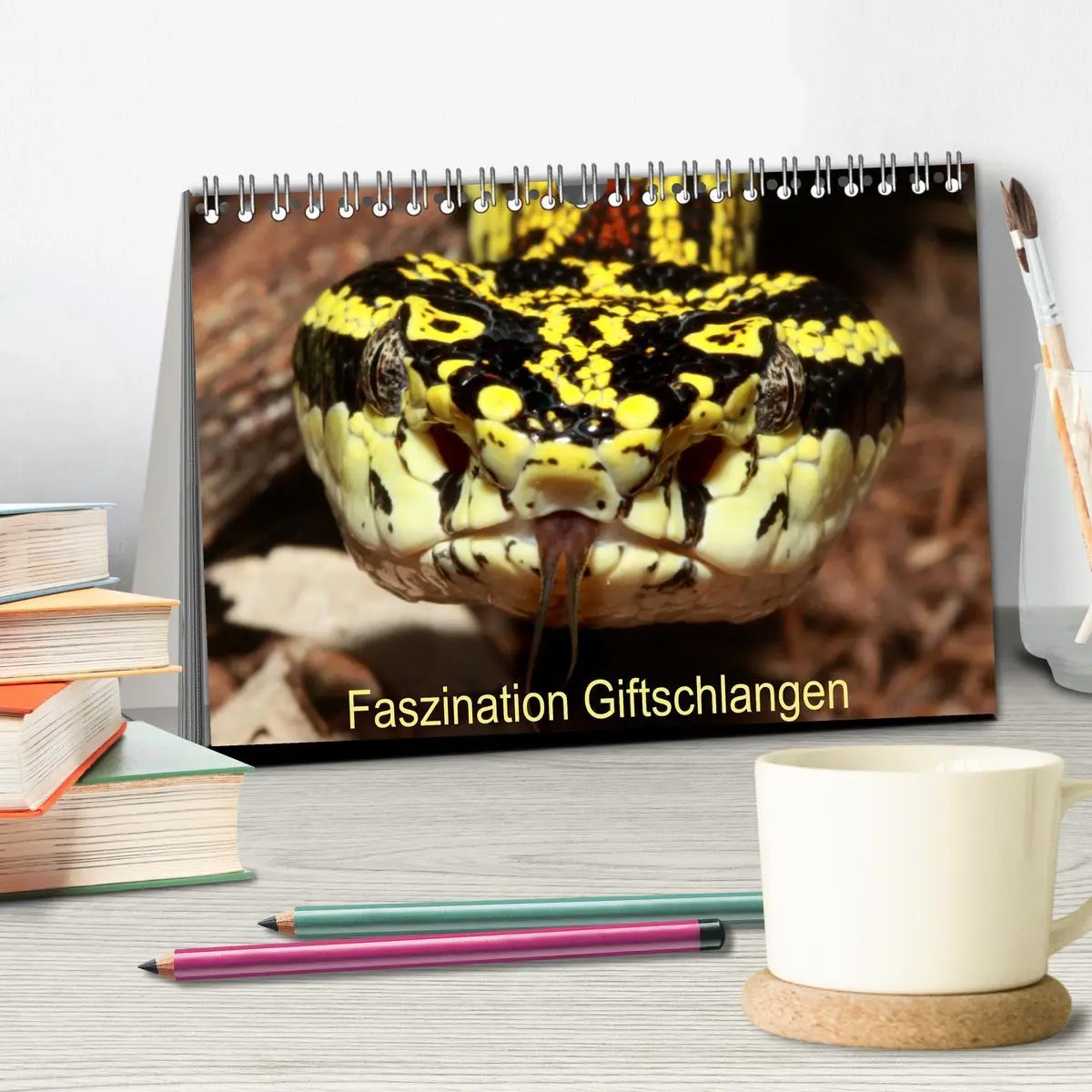 Bild: 9783457363706 | Faszination Giftschlangen (Tischkalender 2026 DIN A5 quer),...