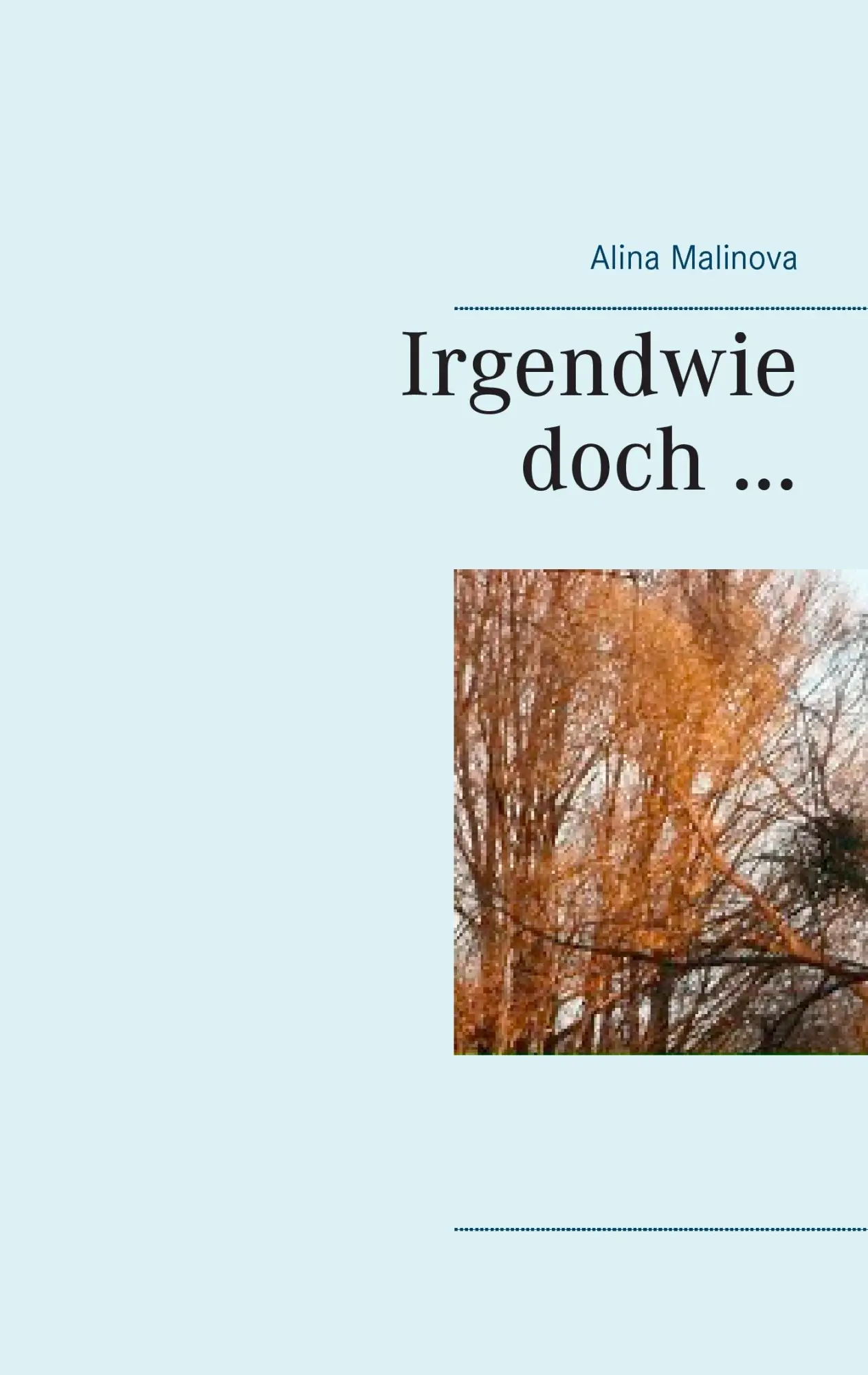 Cover: 9783741253706 | Irgendwie doch... | Erzählungen in berichtender Prosa | Alina Malinova