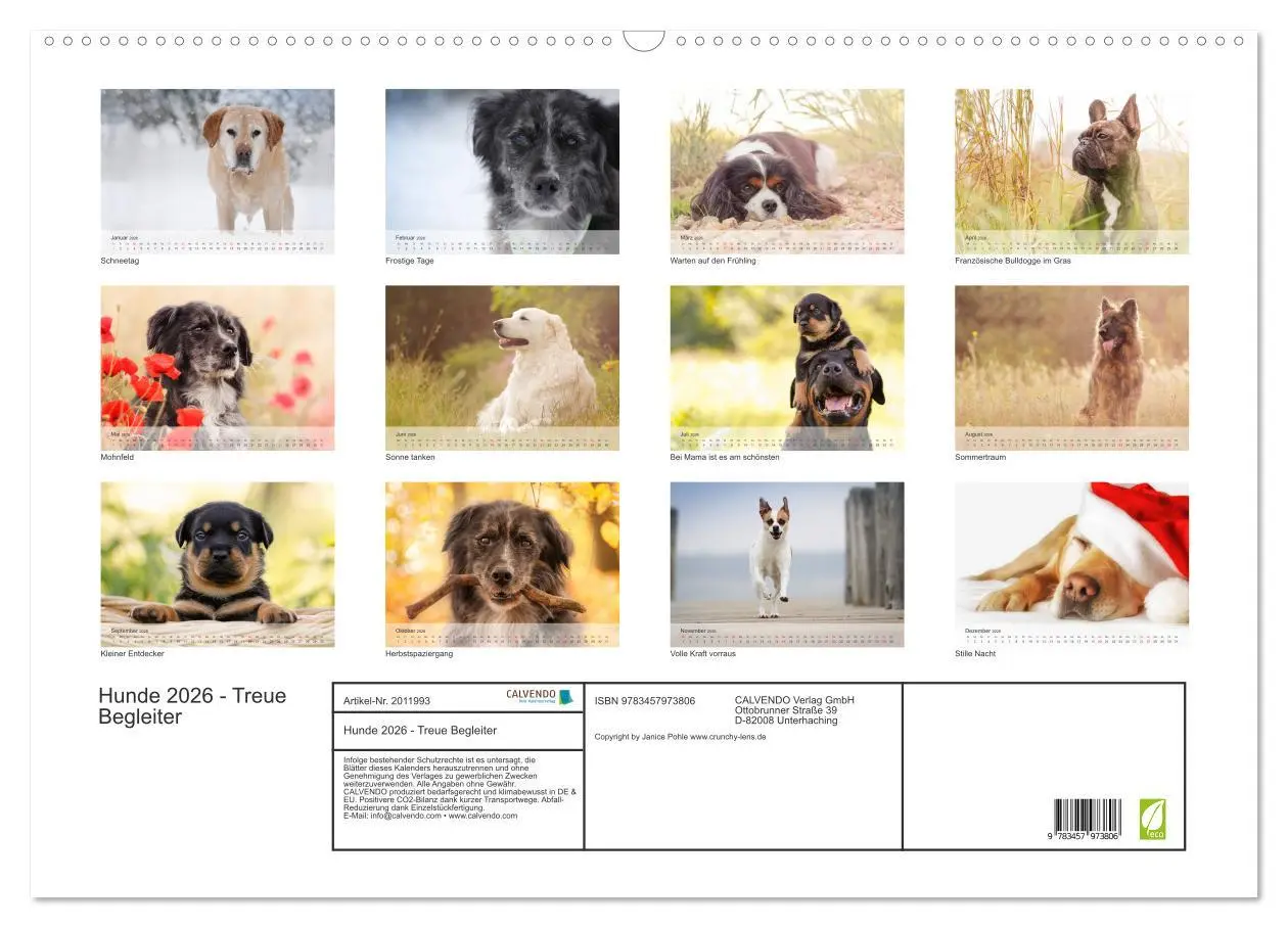 Bild: 9783457973806 | Hunde 2026 - Treue Begleiter (Wandkalender 2026 DIN A2 quer),...