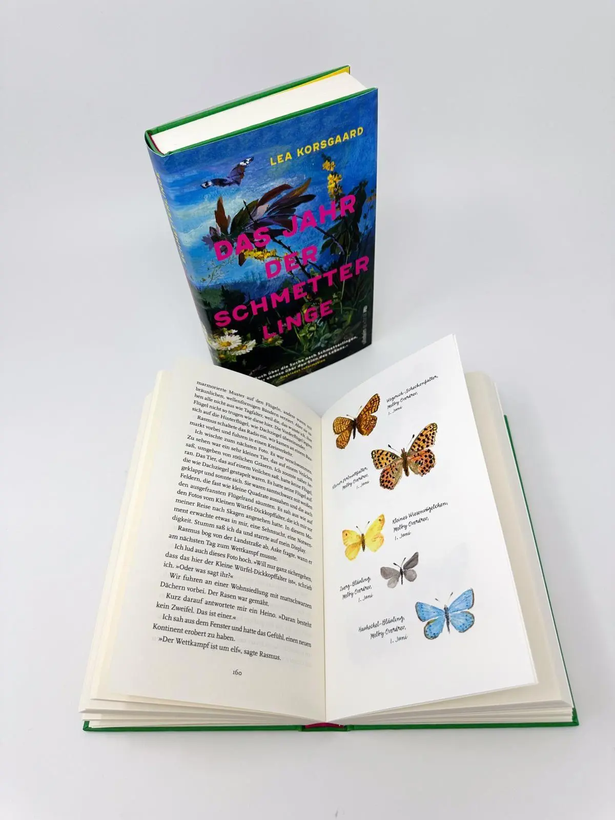 Bild: 9783864933806 | Das Jahr der Schmetterlinge | Lea Korsgaard | Buch | 336 S. | Deutsch