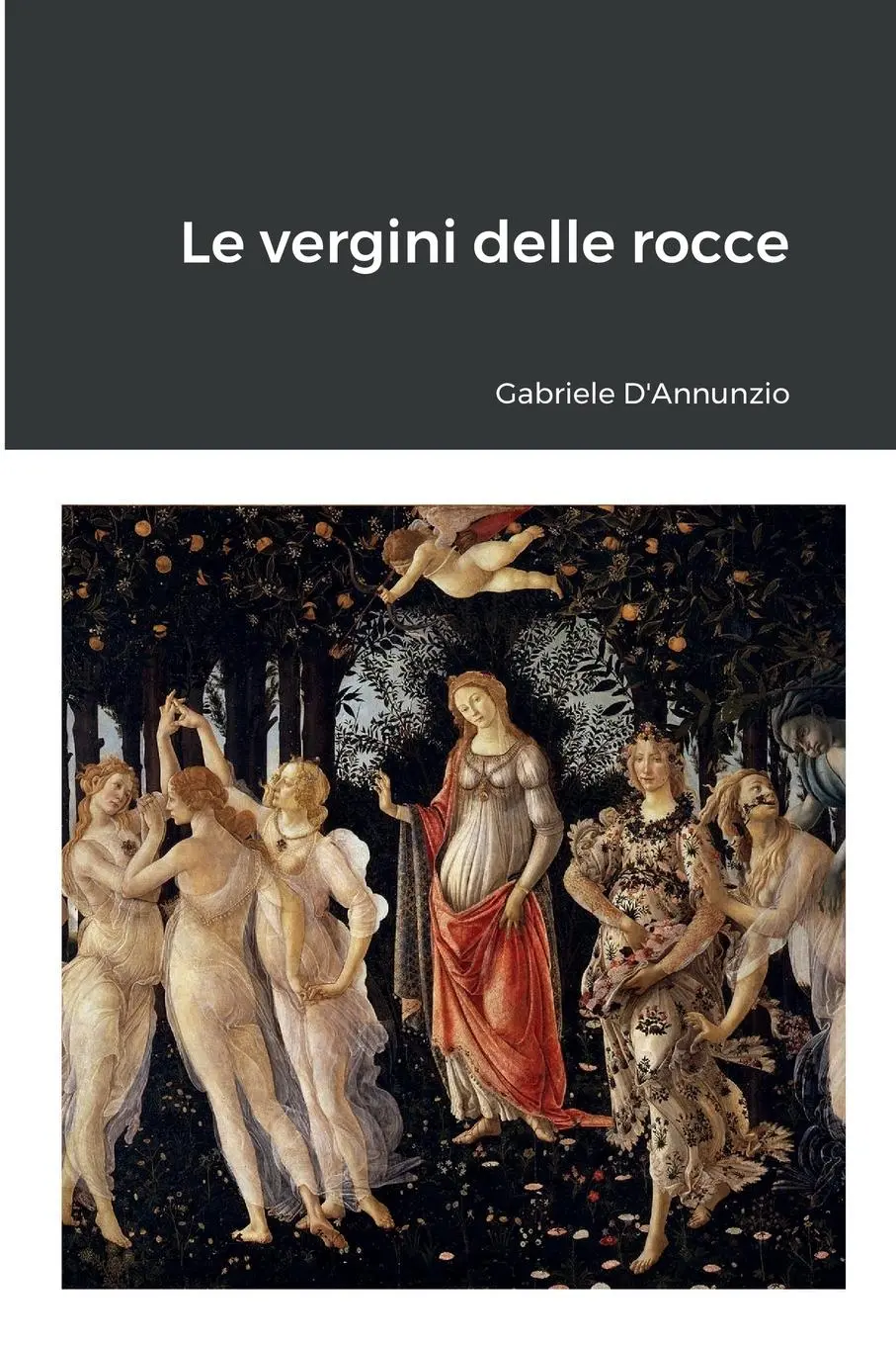 Cover: 9781291503906 | Le vergini delle rocce | Gabriele D'Annunzio | Taschenbuch | 2013
