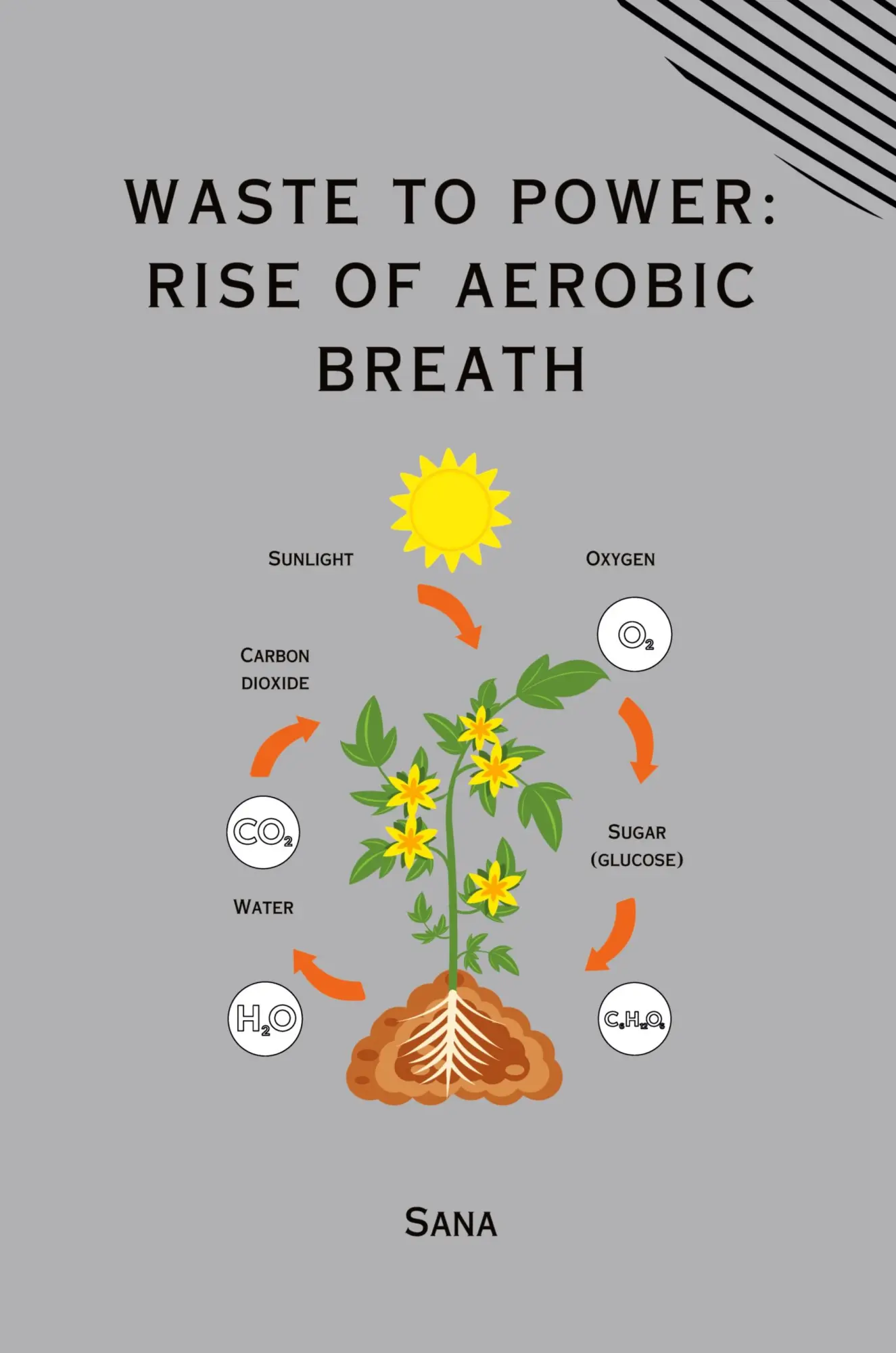 Waste to Power Rise of Aerobic Breath - Sana Kartoniert (TB)