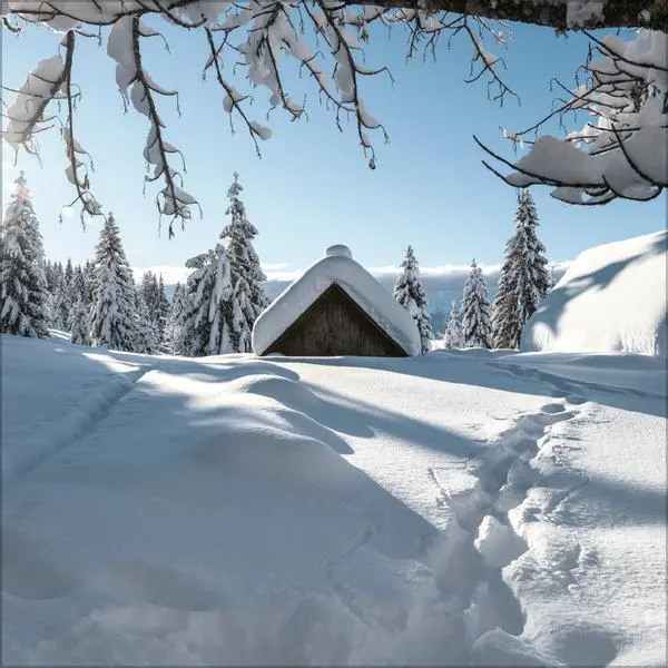 Bild: 9783731883906 | Augenblicke der Stille 2026 | Verlag Korsch | Kalender | 13 S. | 2026