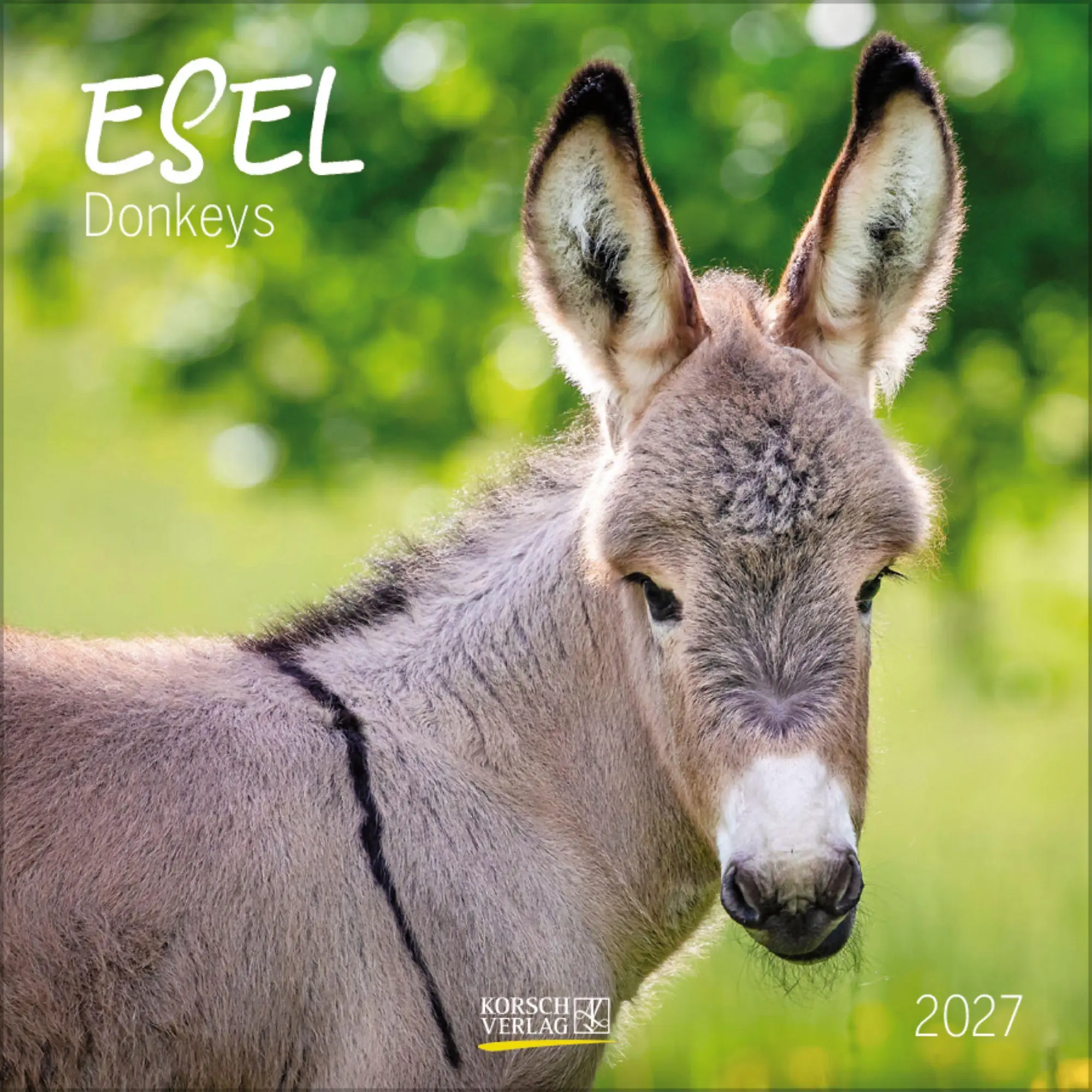 Cover: 9783819303906 | Esel 2027 | Verlag Korsch | Kalender | 13 S. | Deutsch | 2027