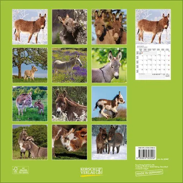 Bild: 9783819303906 | Esel 2027 | Verlag Korsch | Kalender | 13 S. | Deutsch | 2027