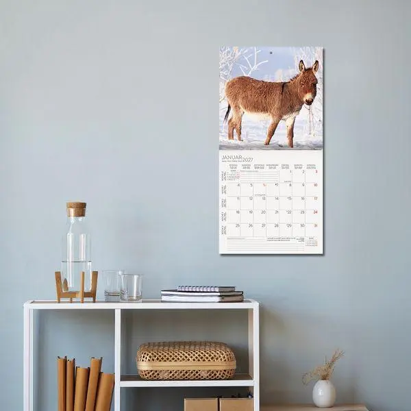 Bild: 9783819303906 | Esel 2027 | Verlag Korsch | Kalender | 13 S. | Deutsch | 2027