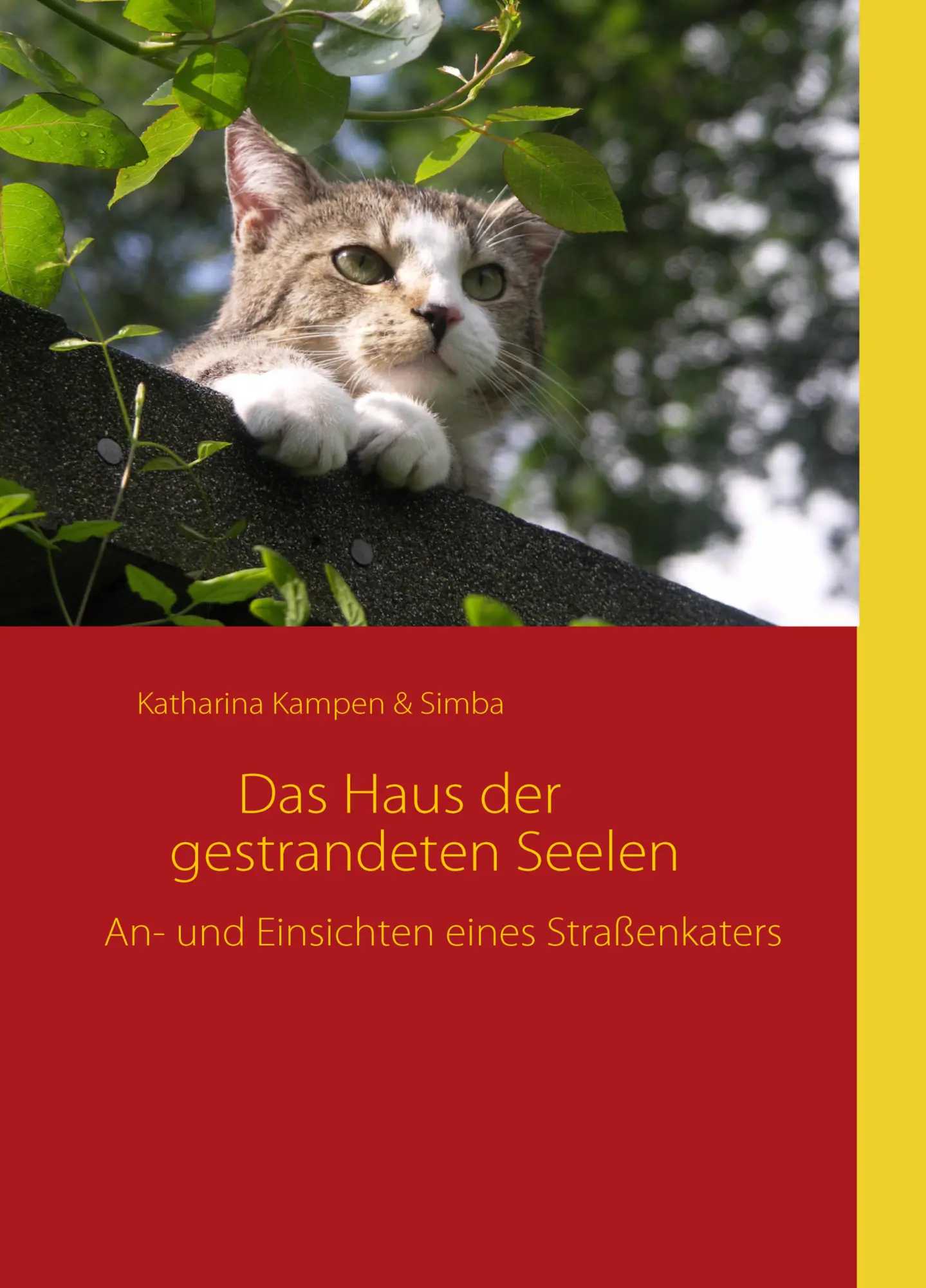 Cover: 9783837053906 | Das Haus der gestrandeten Seelen | Katharina Kampen | Taschenbuch