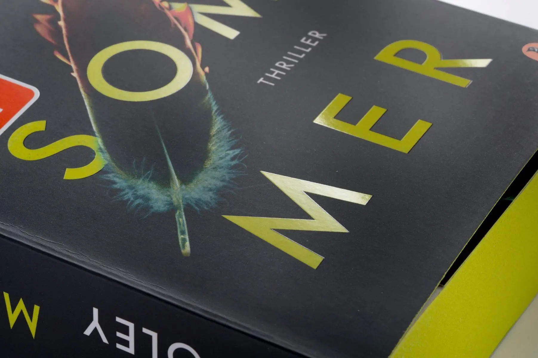 Bild: 9783328604006 | Mittsommer | Lucy Foley | Taschenbuch | 480 S. | Deutsch | 2025