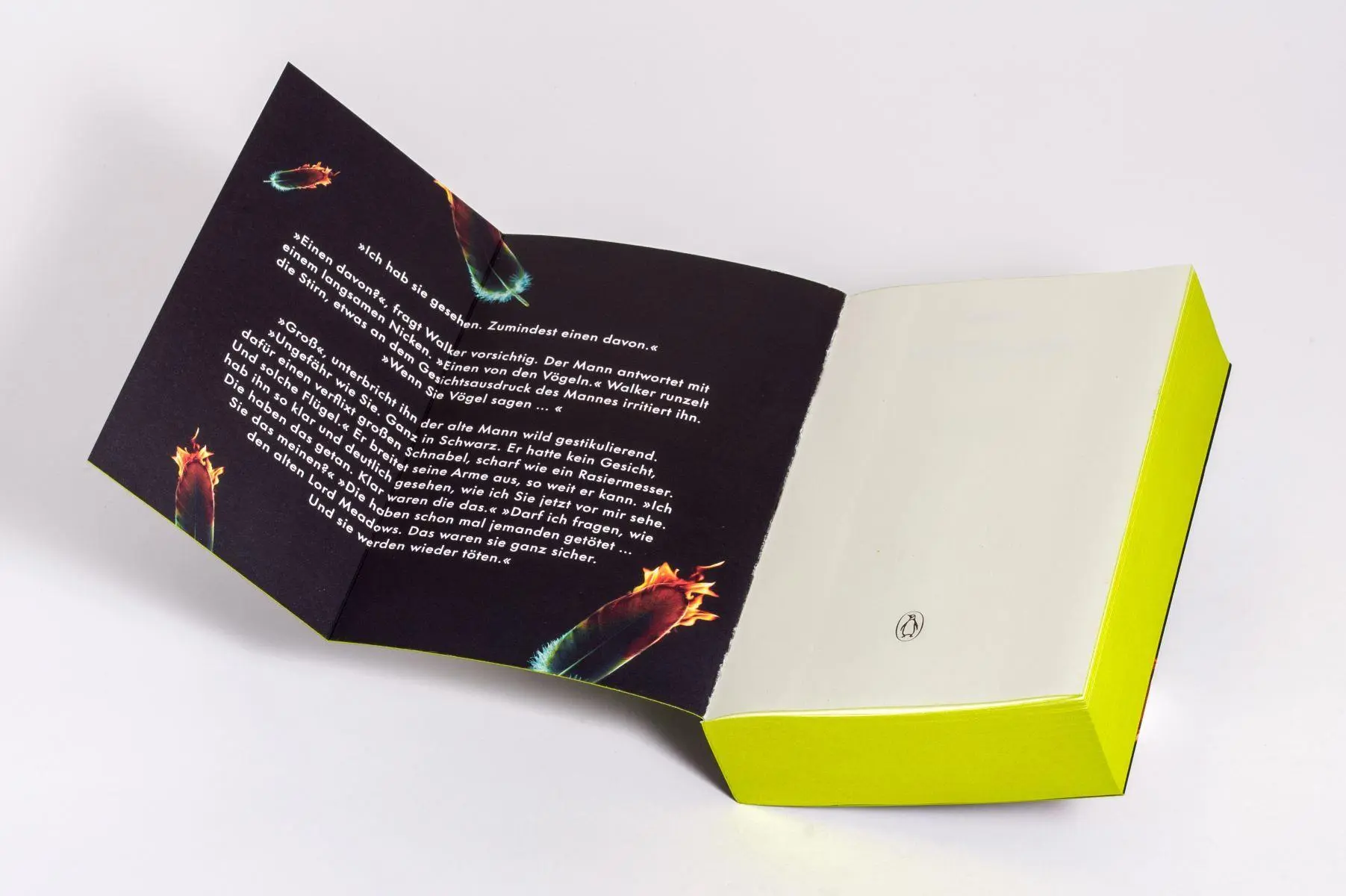 Bild: 9783328604006 | Mittsommer | Lucy Foley | Taschenbuch | 480 S. | Deutsch | 2025
