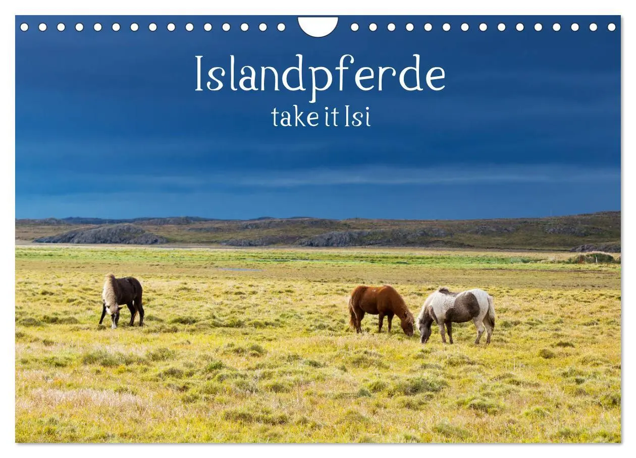 Cover: 9783457924006 | Islandpferde take it Isi (Wandkalender 2026 DIN A4 quer), CALVENDO...