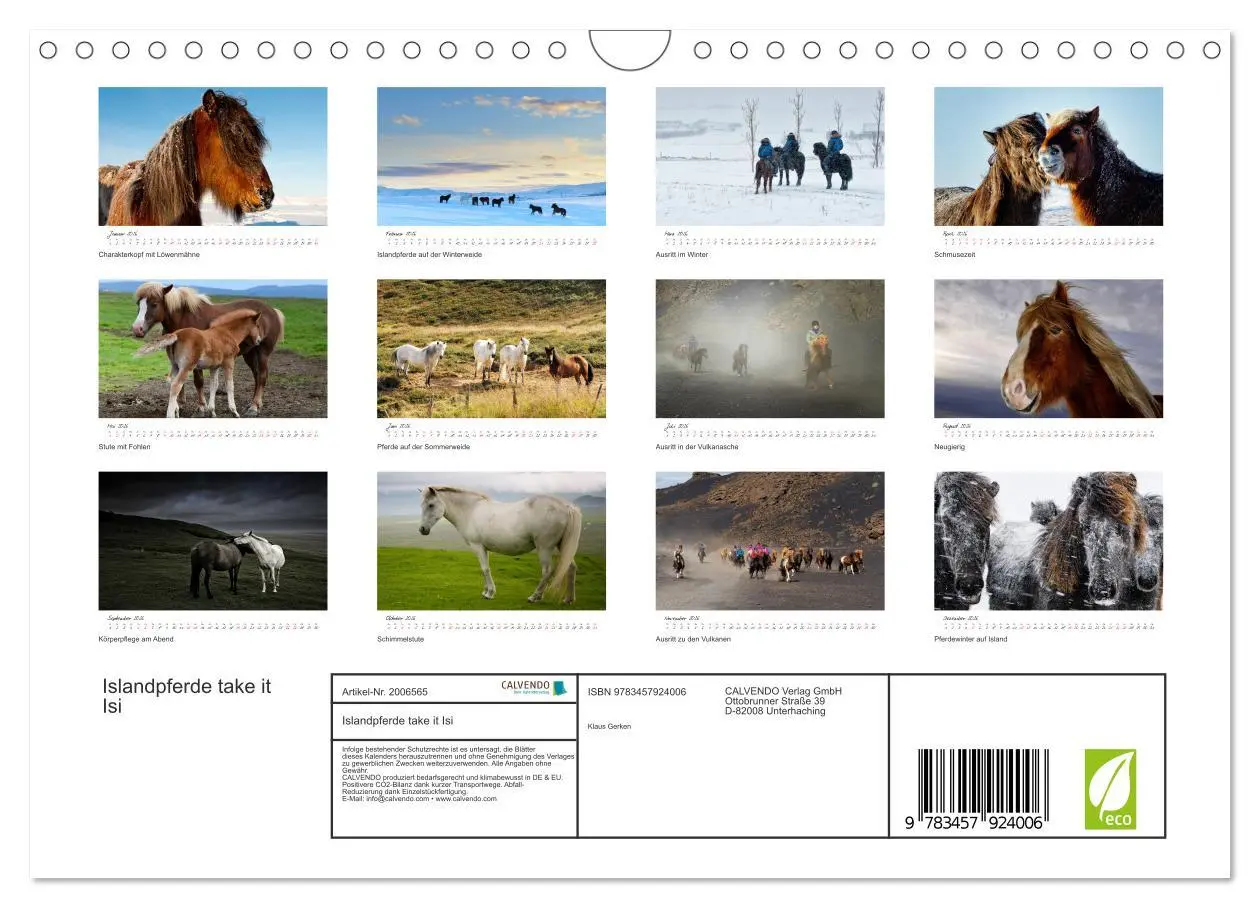 Bild: 9783457924006 | Islandpferde take it Isi (Wandkalender 2026 DIN A4 quer), CALVENDO...